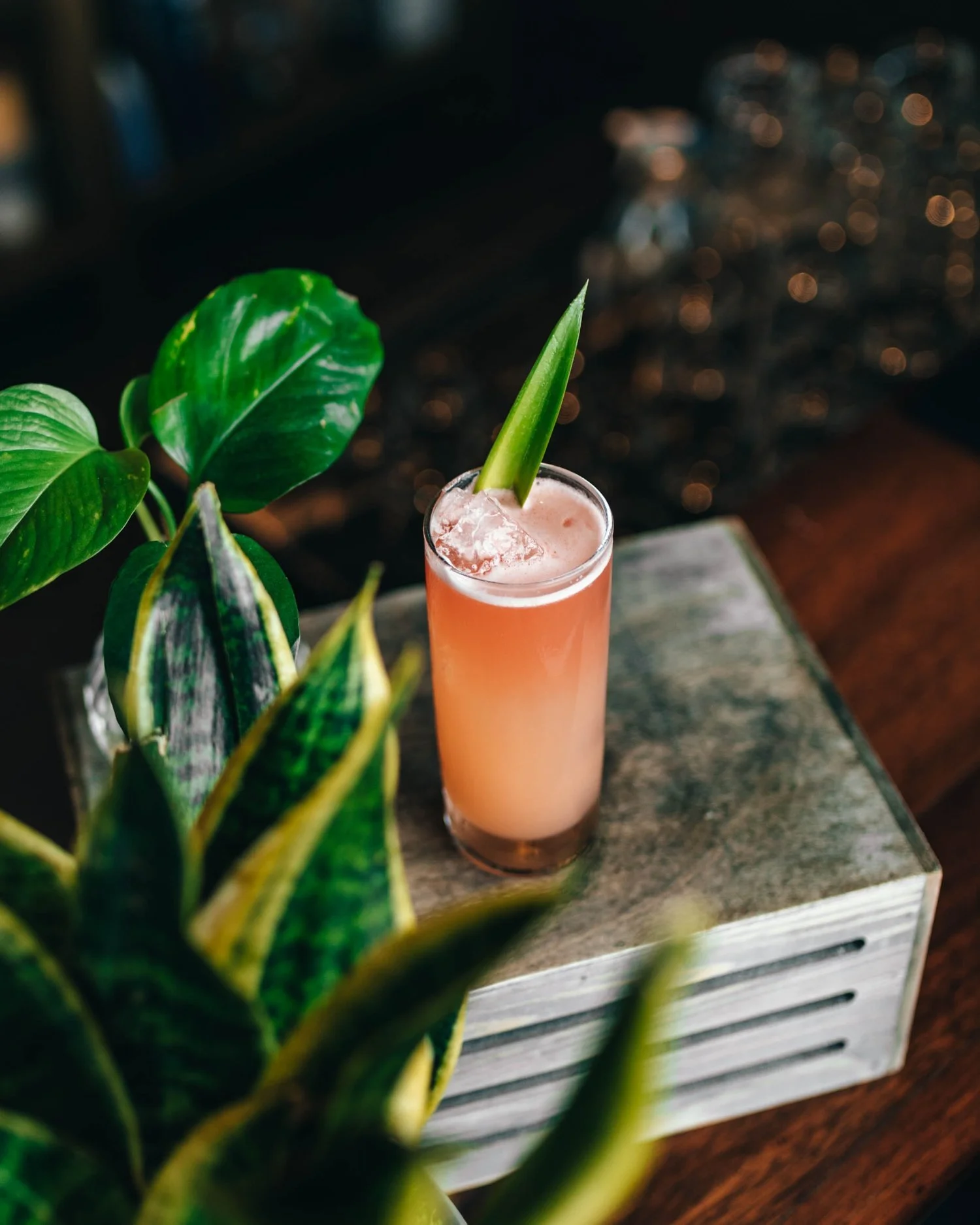 The Best Cocktail & Mocktail Spots in Winnipeg