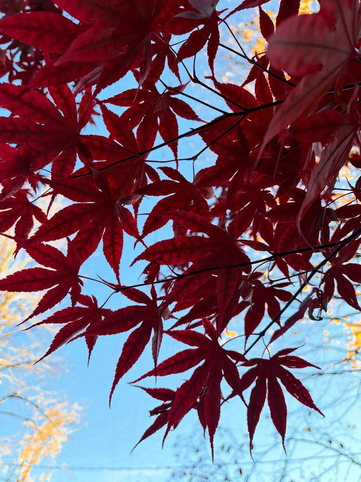 Still my favourite season