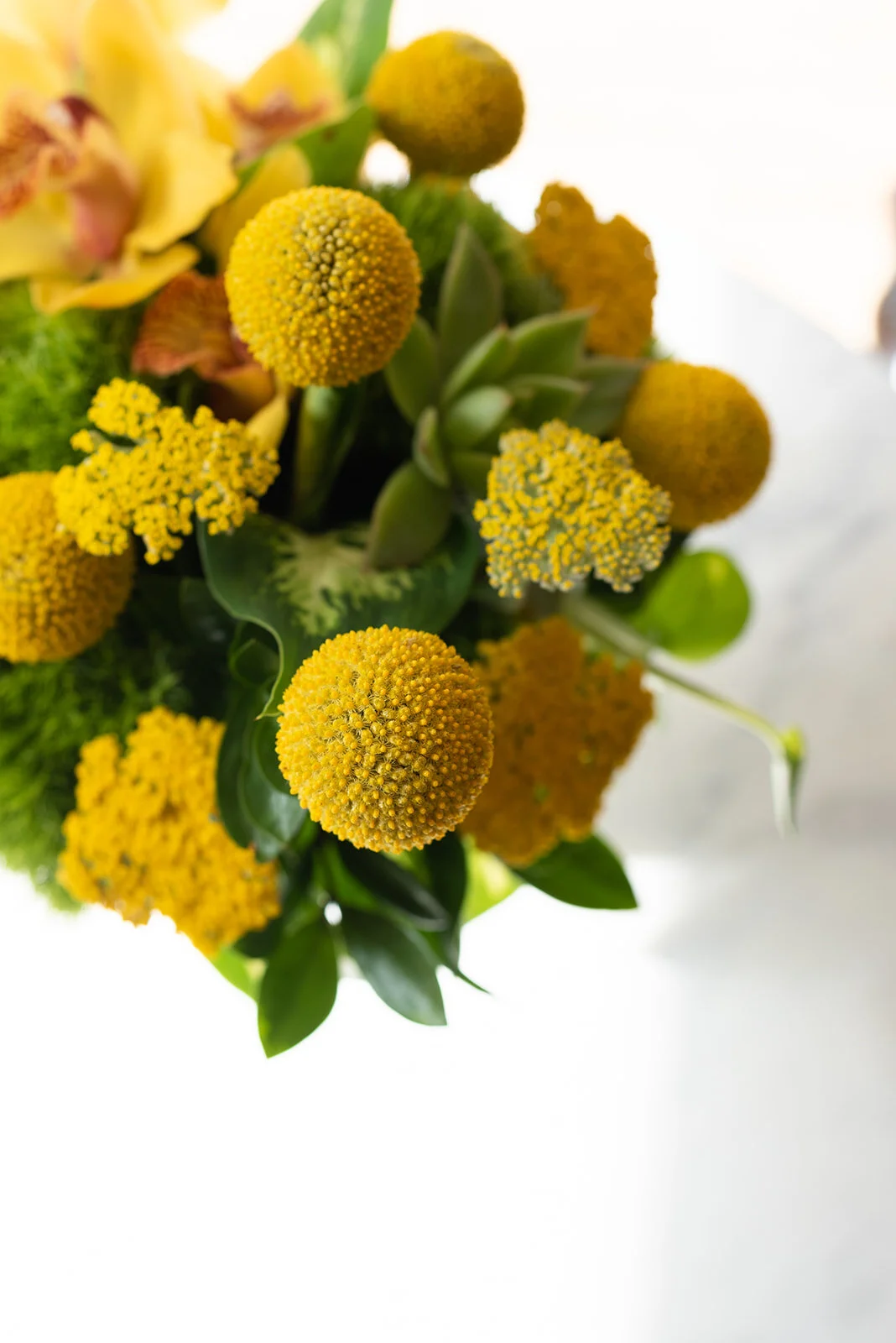 FLORALS TABLEWARE WEB-0392.jpg