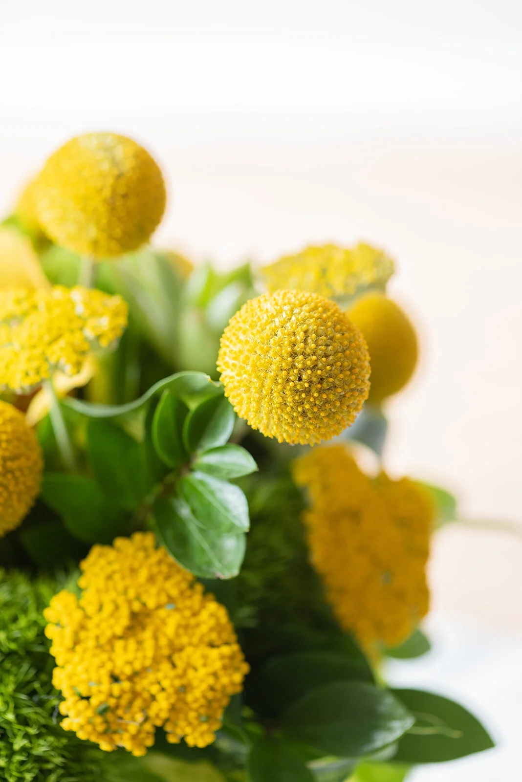FLORALS TABLEWARE WEB-0401.jpg
