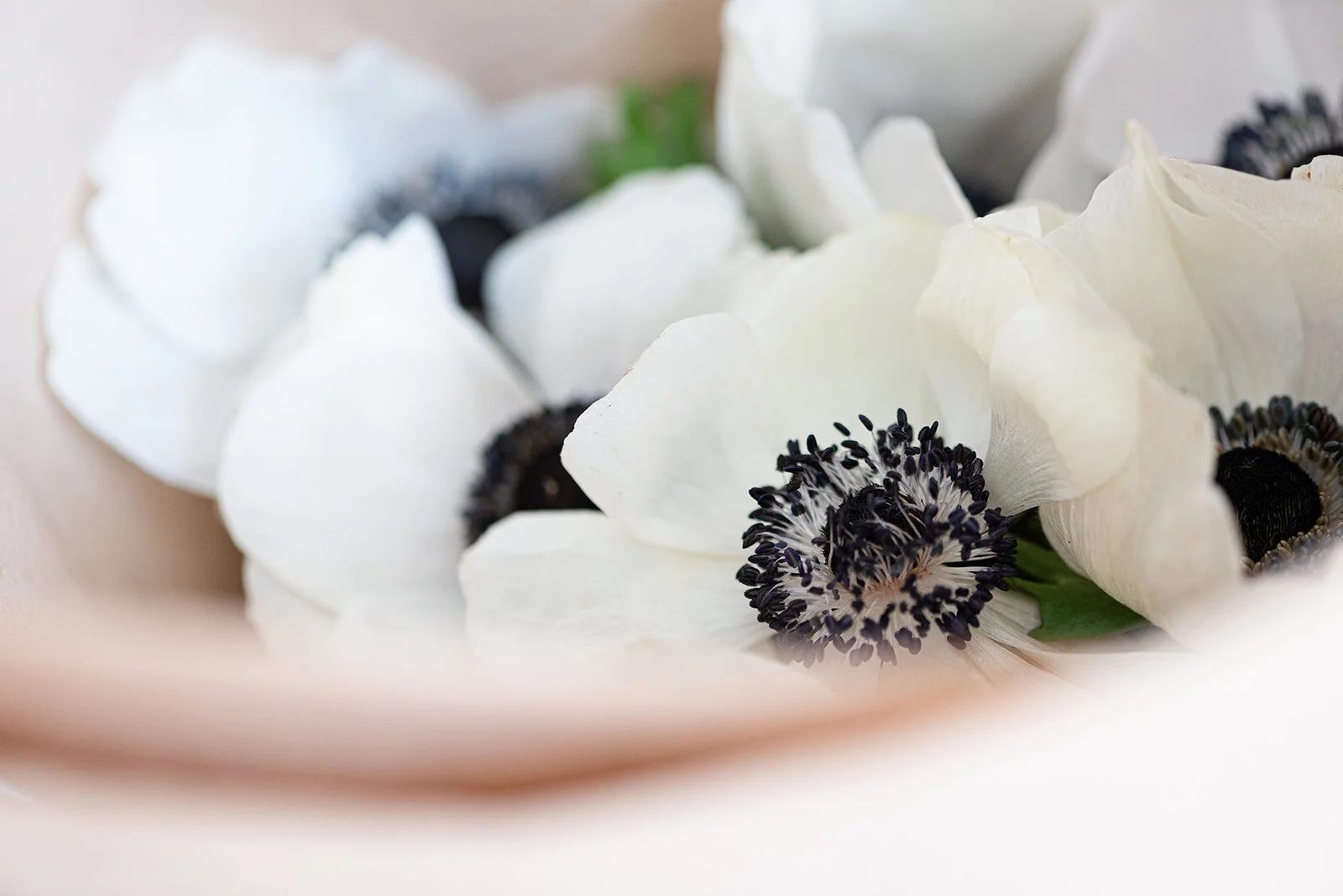 FLORALS TABLEWARE WEB-0403.jpg