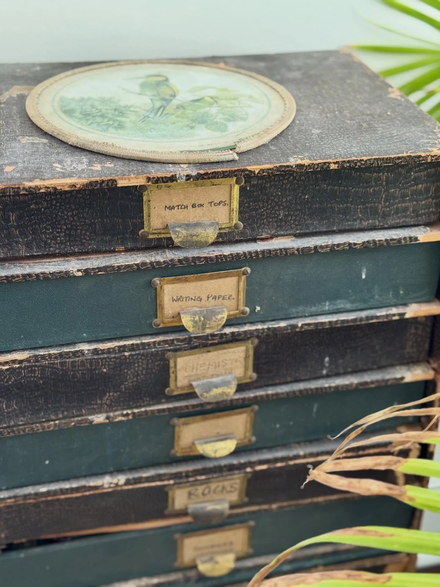 Each drawer is a new treasure 😍 See you all tomorrow at our Ardsley Park Estate Sale. The address is 743 East 40th street and we will be there from 10:00am - 12:00pm! #estatesale #estatesalefinds #savannah #visitsavannah #vintage
