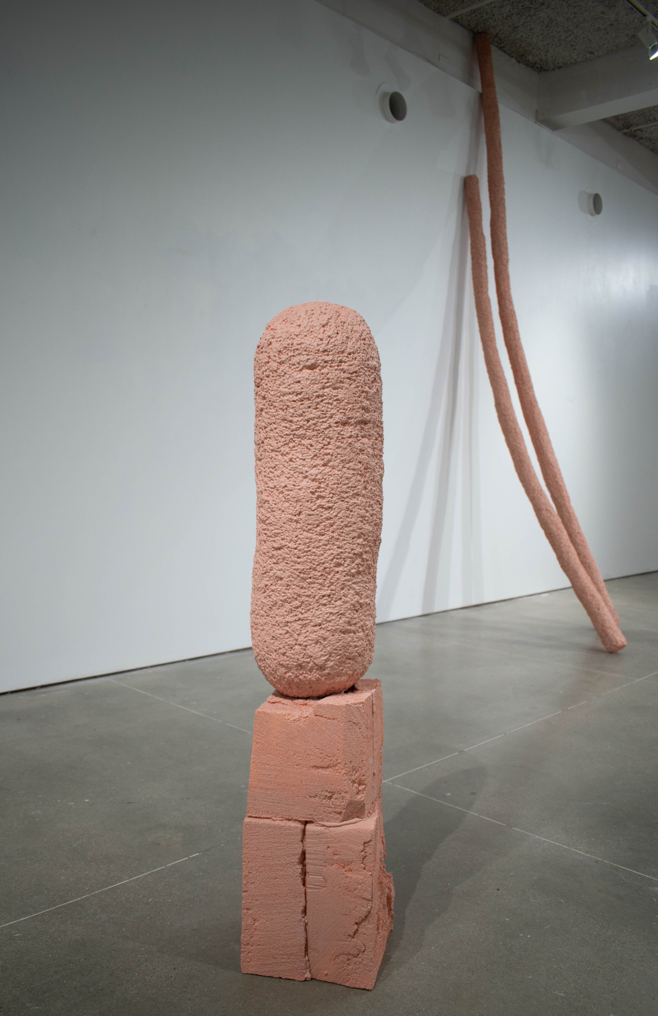 Yesterday, Today, Tomorrow, And The Day After That (Installation view)