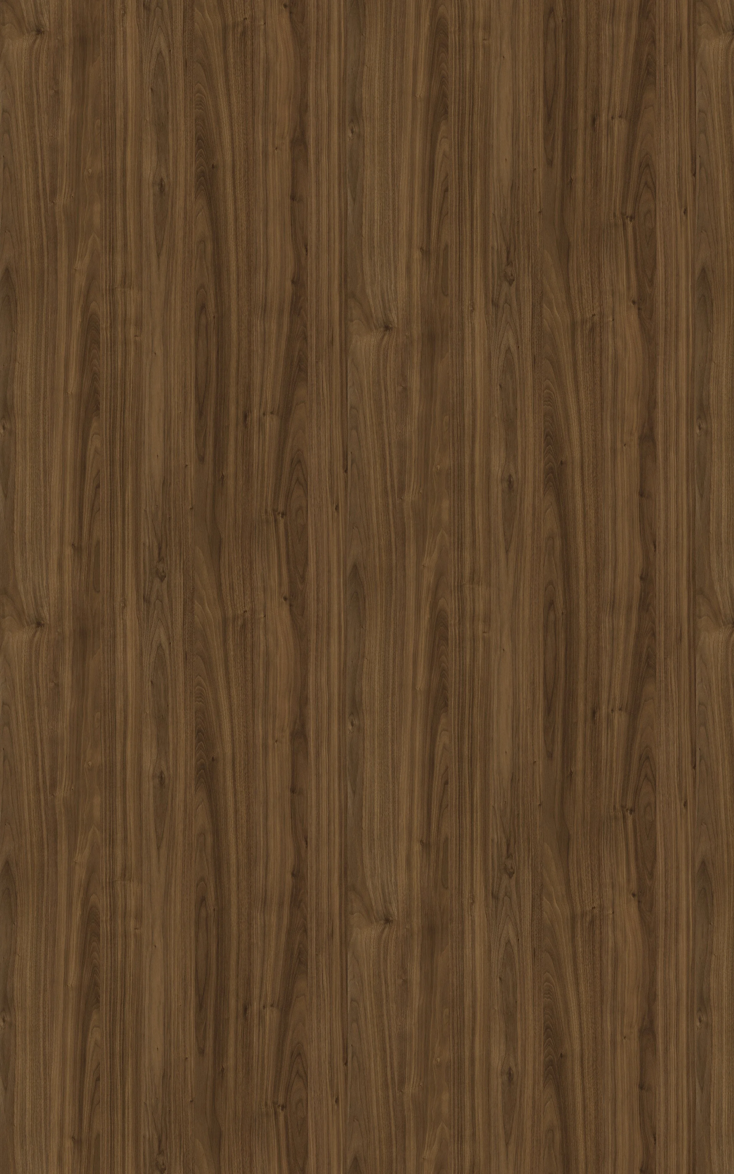 Timeless (Textured)