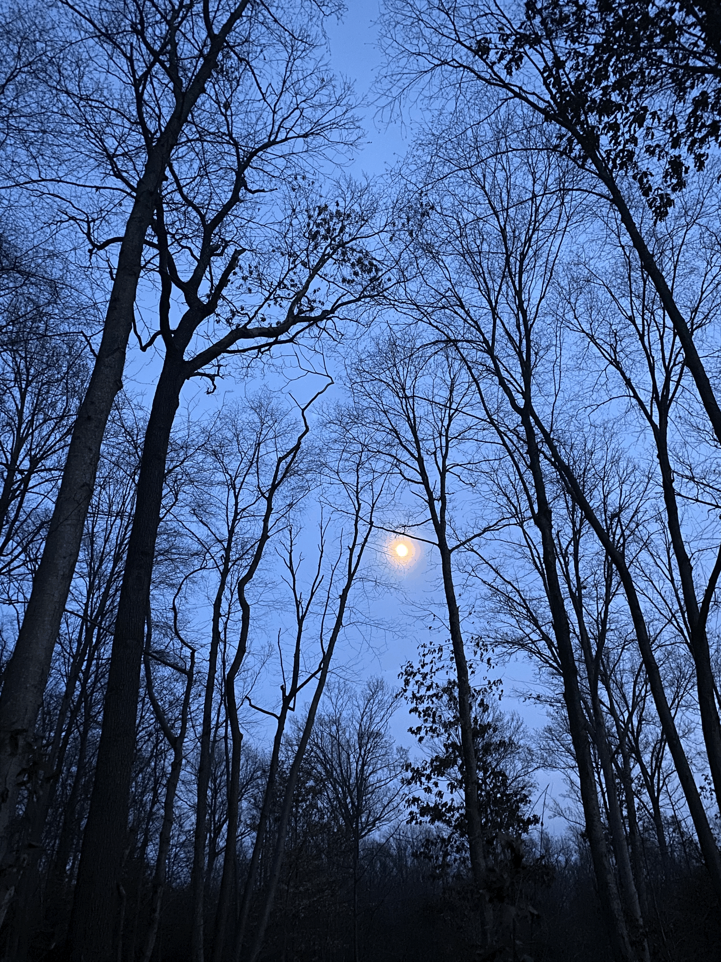 Winter Solstice 2021