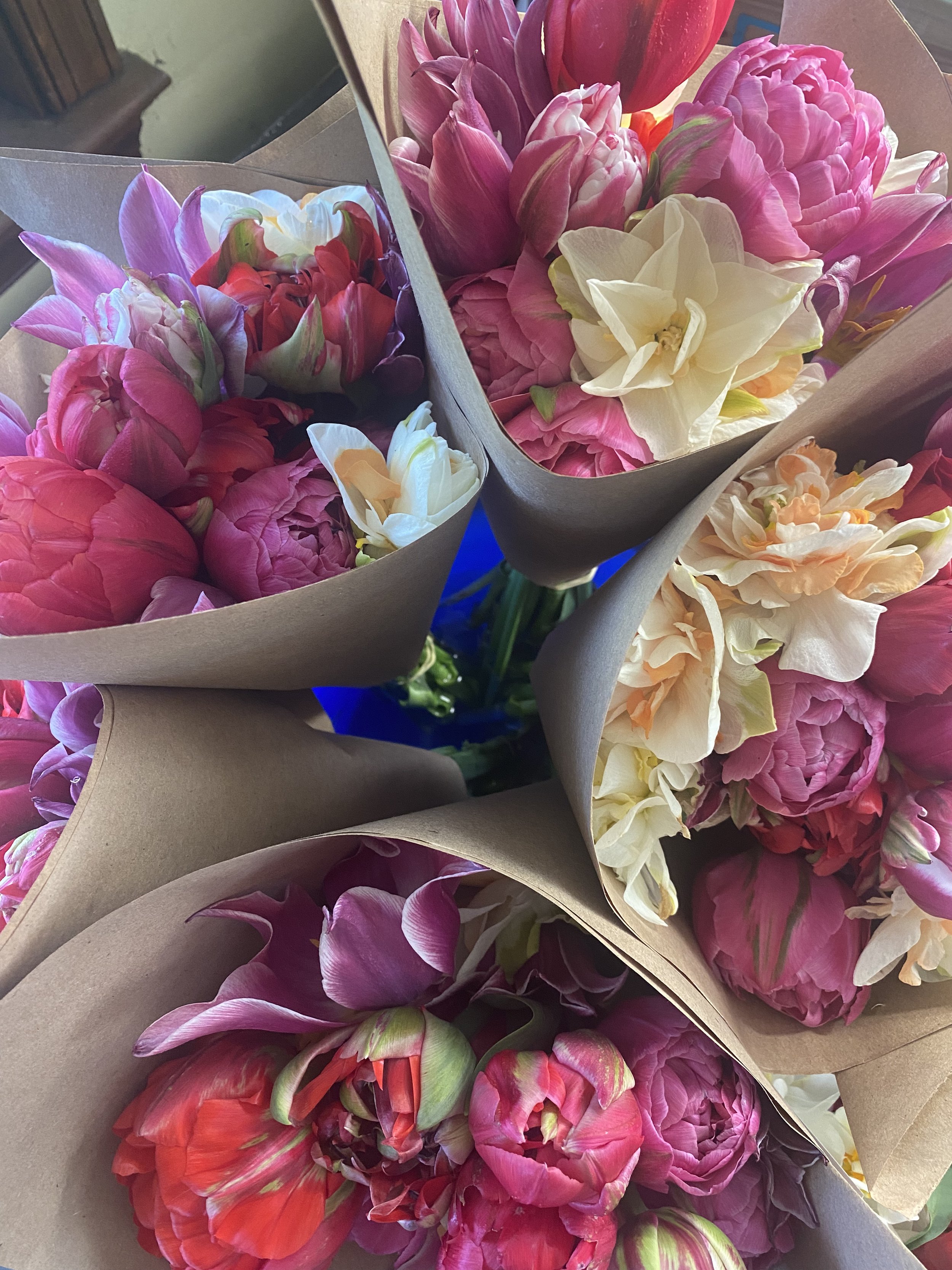 tulipwrap.jpeg