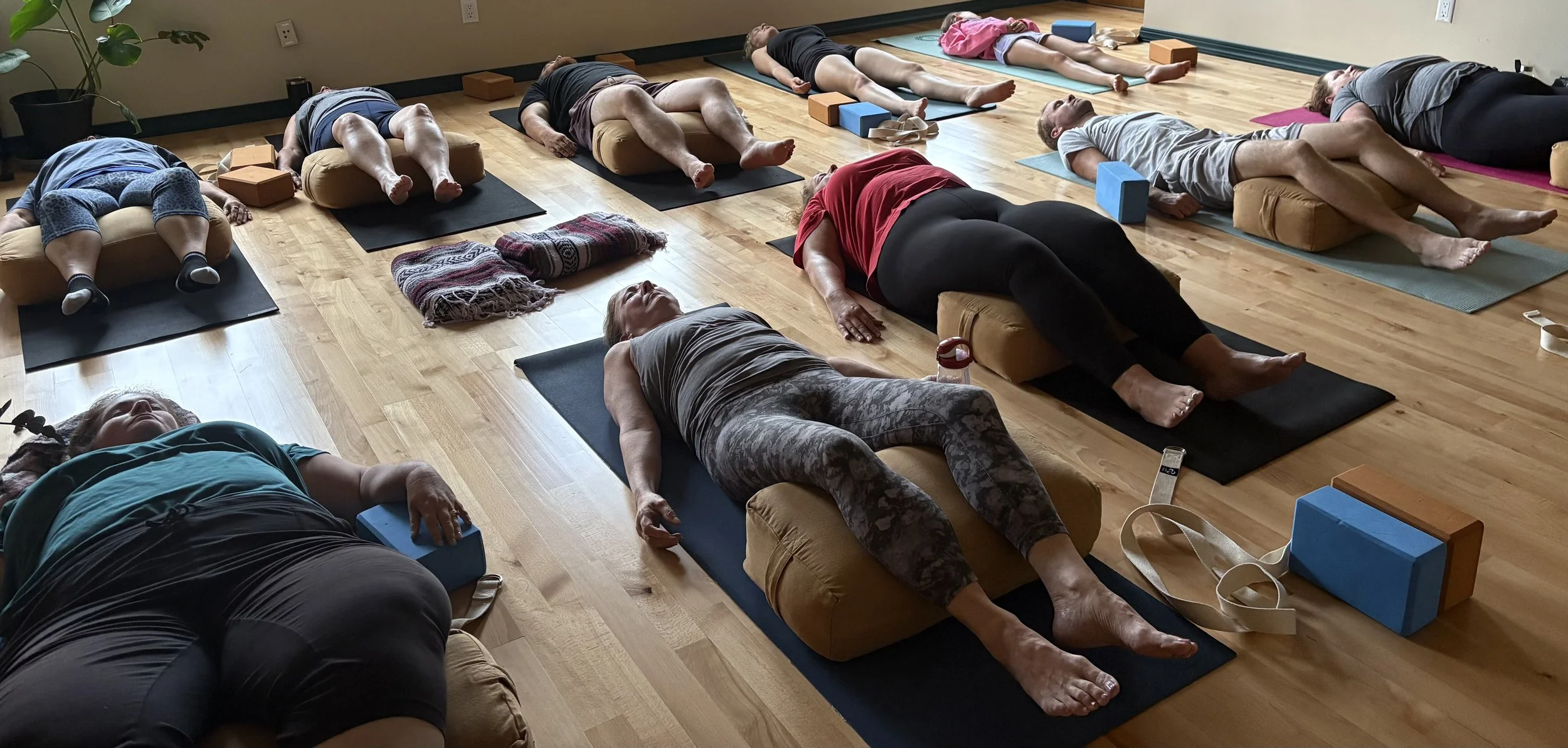 Why Ashtanga?