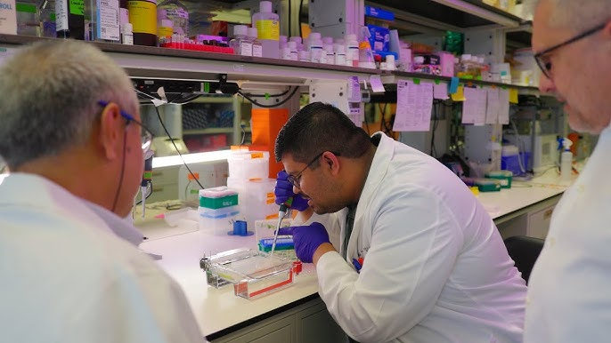Biological Safety Officer Course