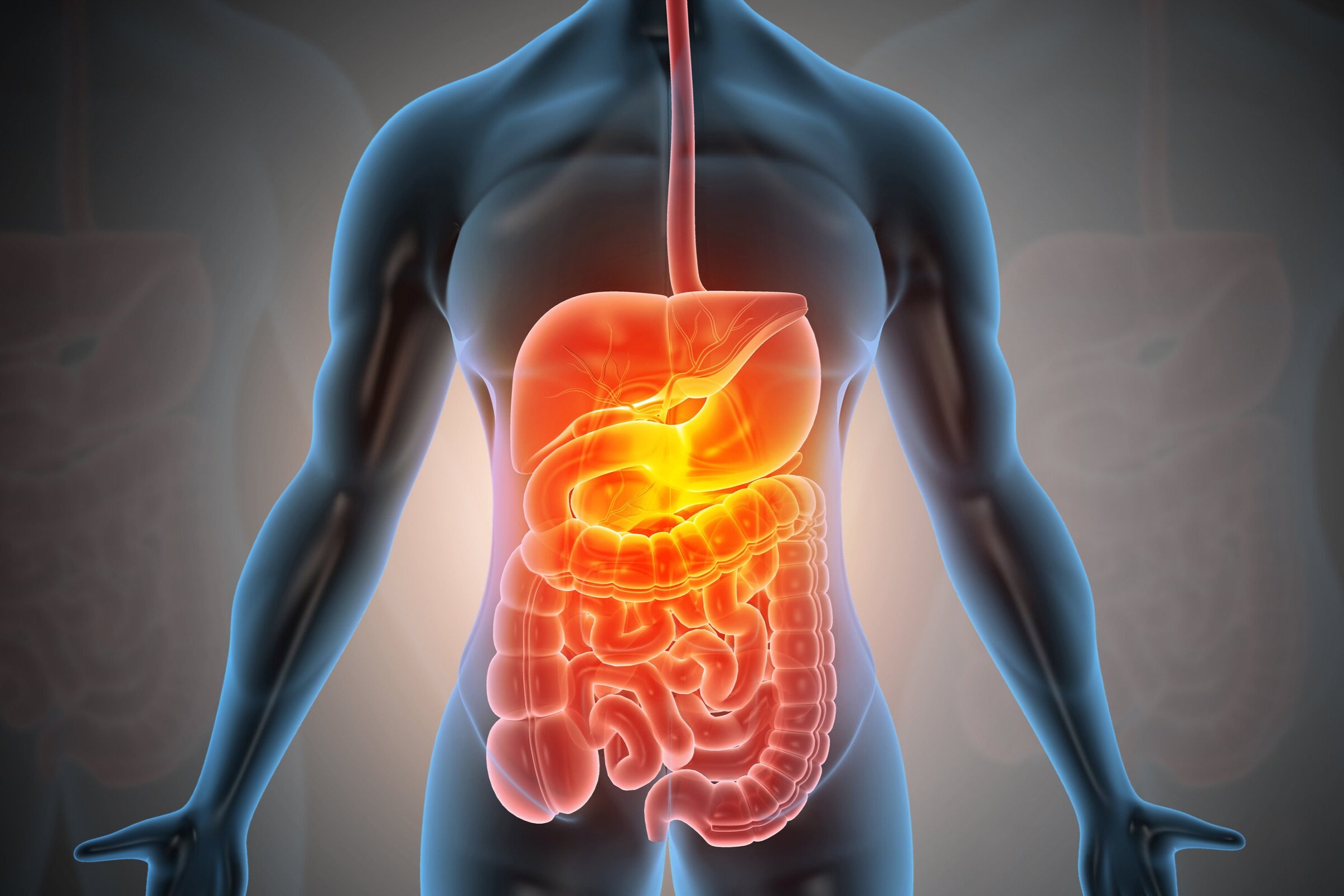 Courses for the Disability and Healthcare Sectors