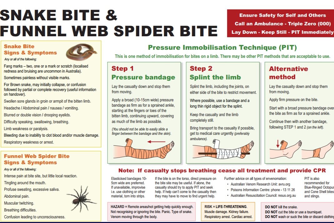 It’s snake season again - are you prepared? 
