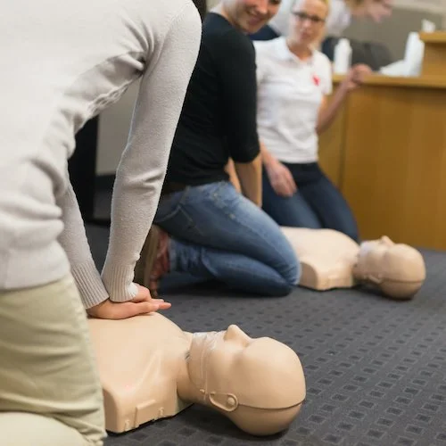 First Aid Courses Goulburn — Allens Training
