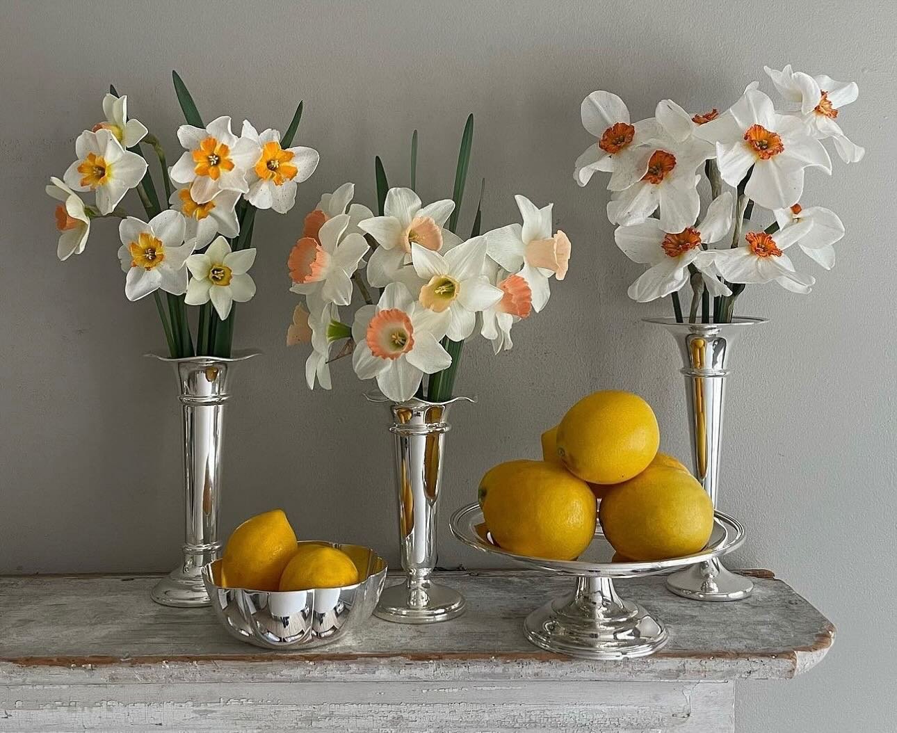 At Emily Joubert home and garden we absolutely love hotel silver and the harbinger of springtime, the cheerful daffodil. Stop by to see our freshly polished silver that has a storied past. #vintage-silver #hotel-silver #europeanhotelsilver #brickandm