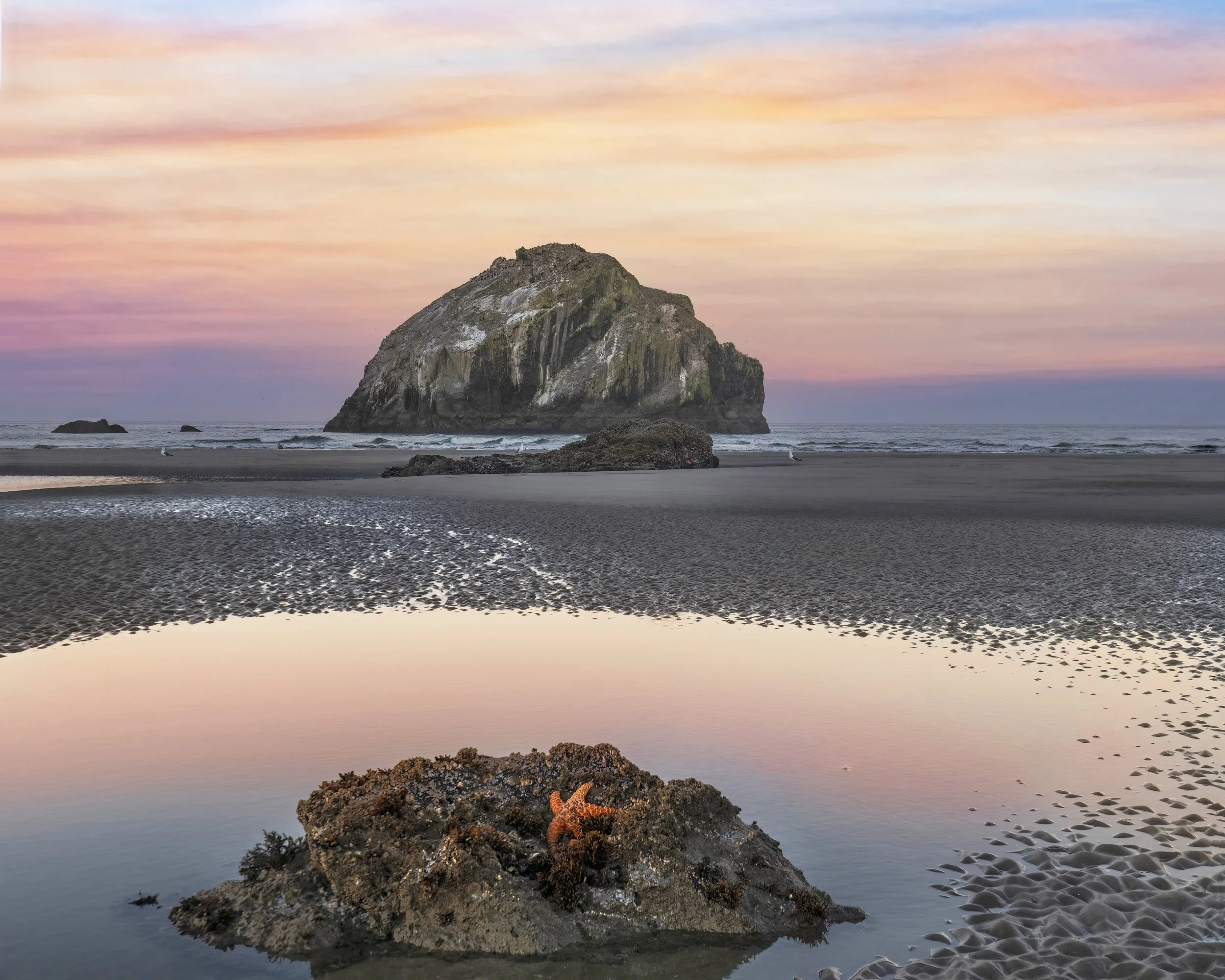 Face Rock Tide Pool At Sunset