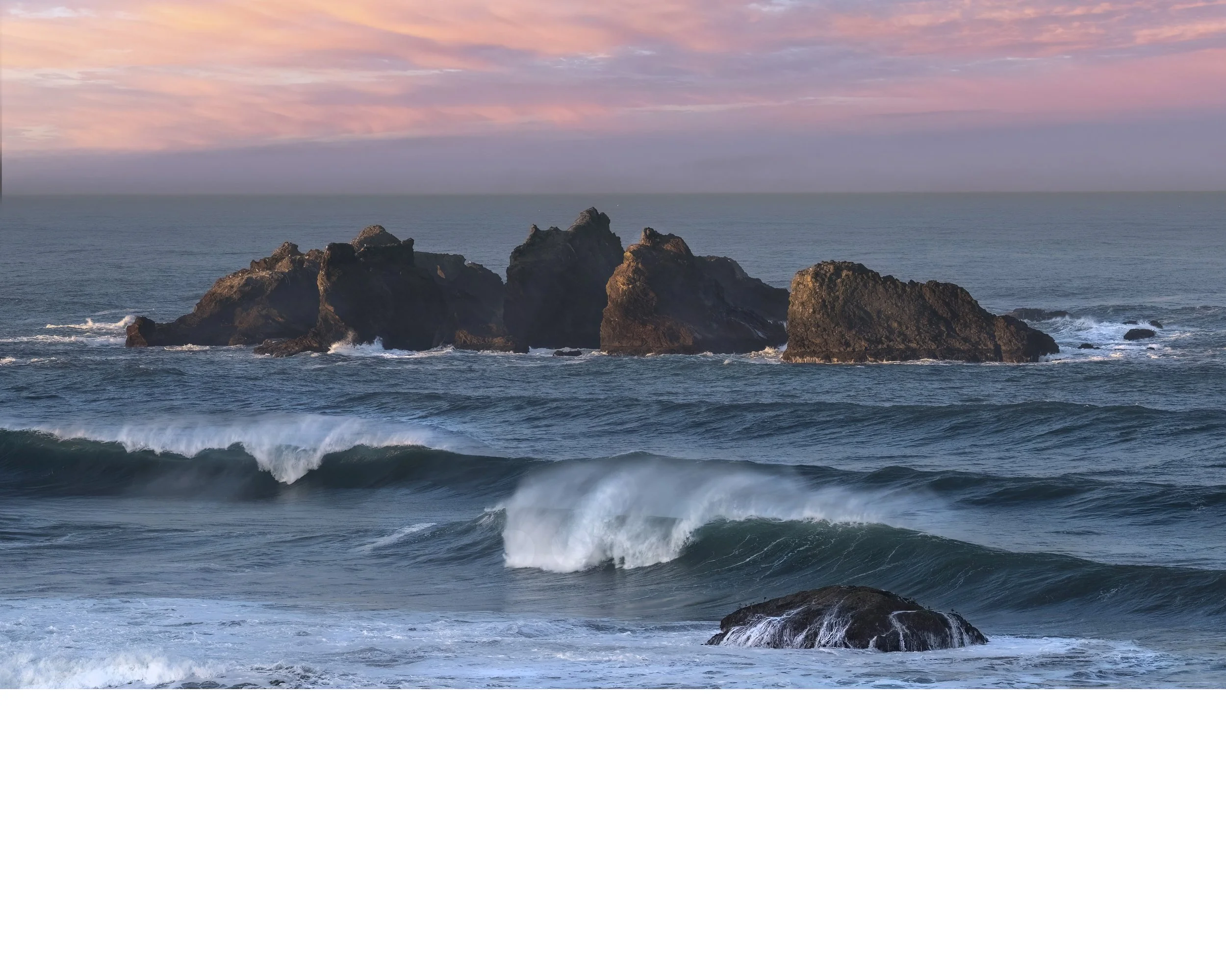First Blush Over Cats and Kittens, Bandon