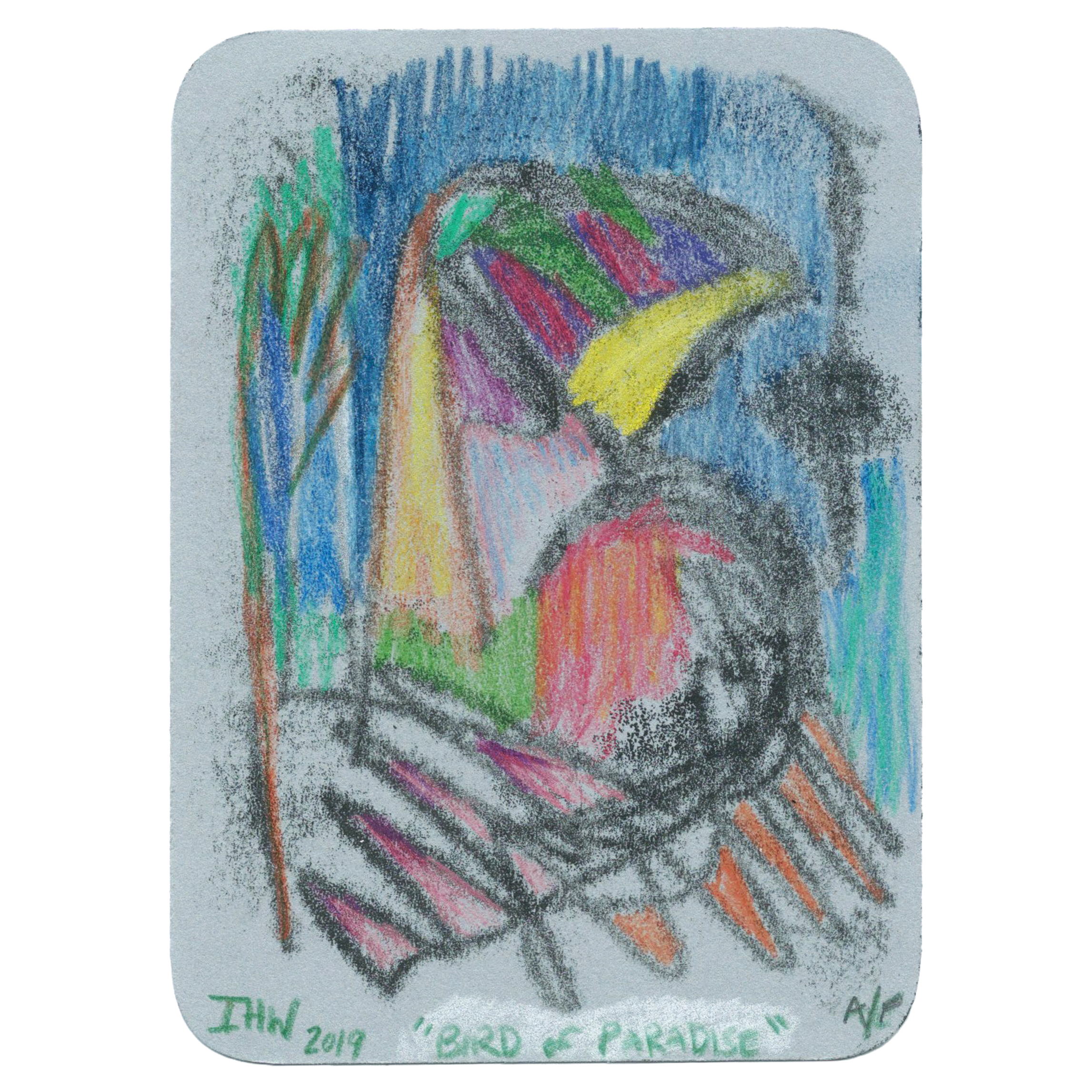 Bird of Paradise .png