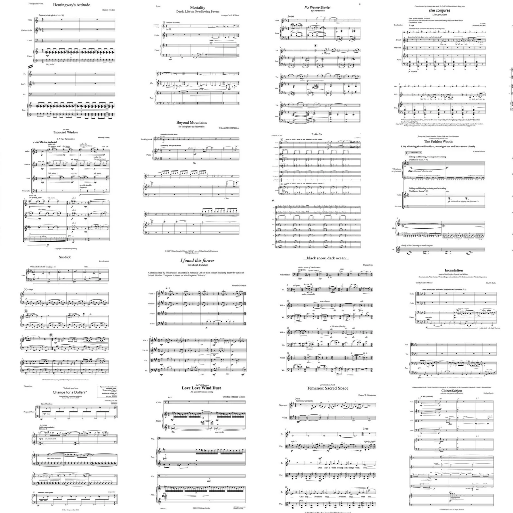 Looking Around: Locally Sourced Sounds Reading Marathon