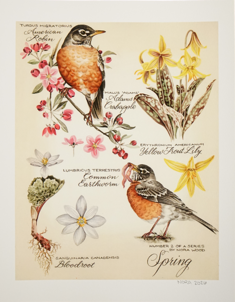 Nora Wood - Print