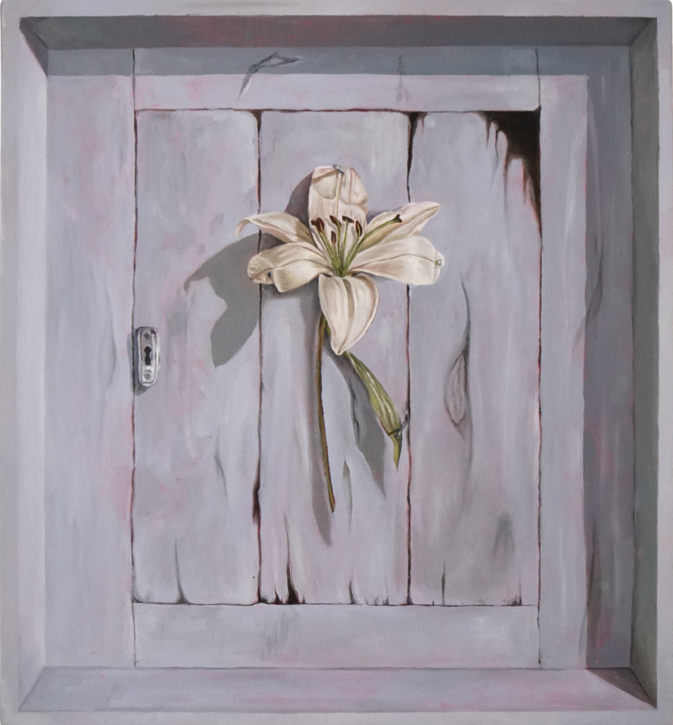 Iava Hohmann  - "Dispossession"