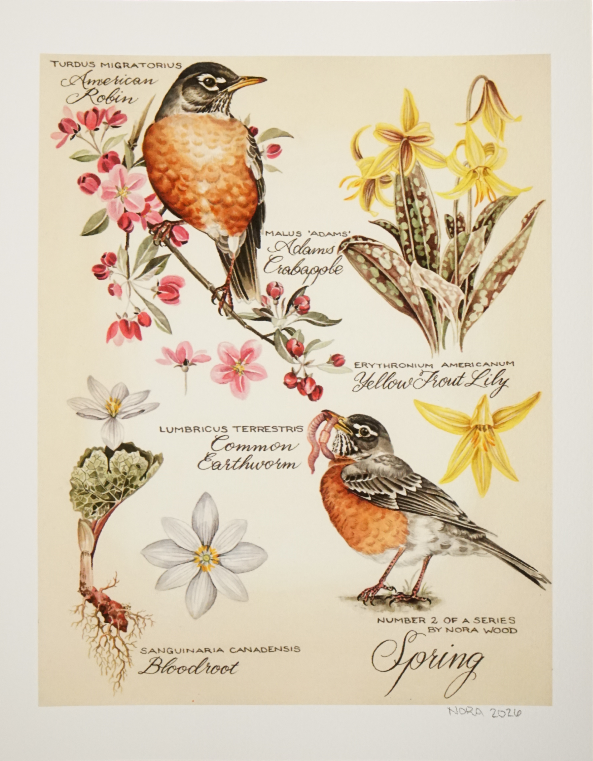 Nora Townsend - "Spring Series 2" (Print)