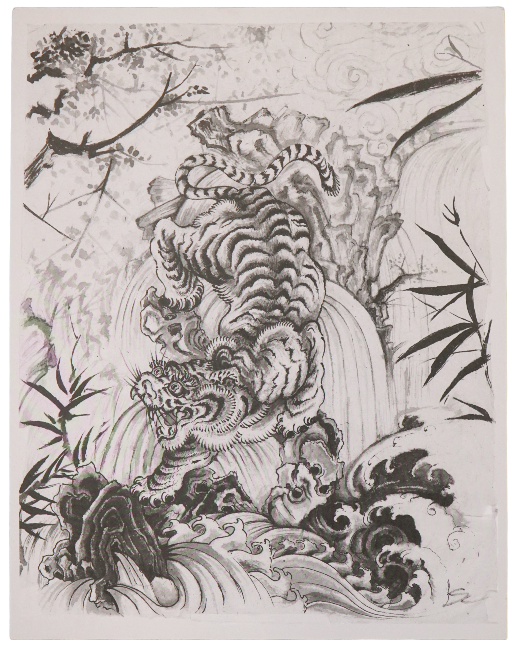 Shug Shyam - Tiger (print)