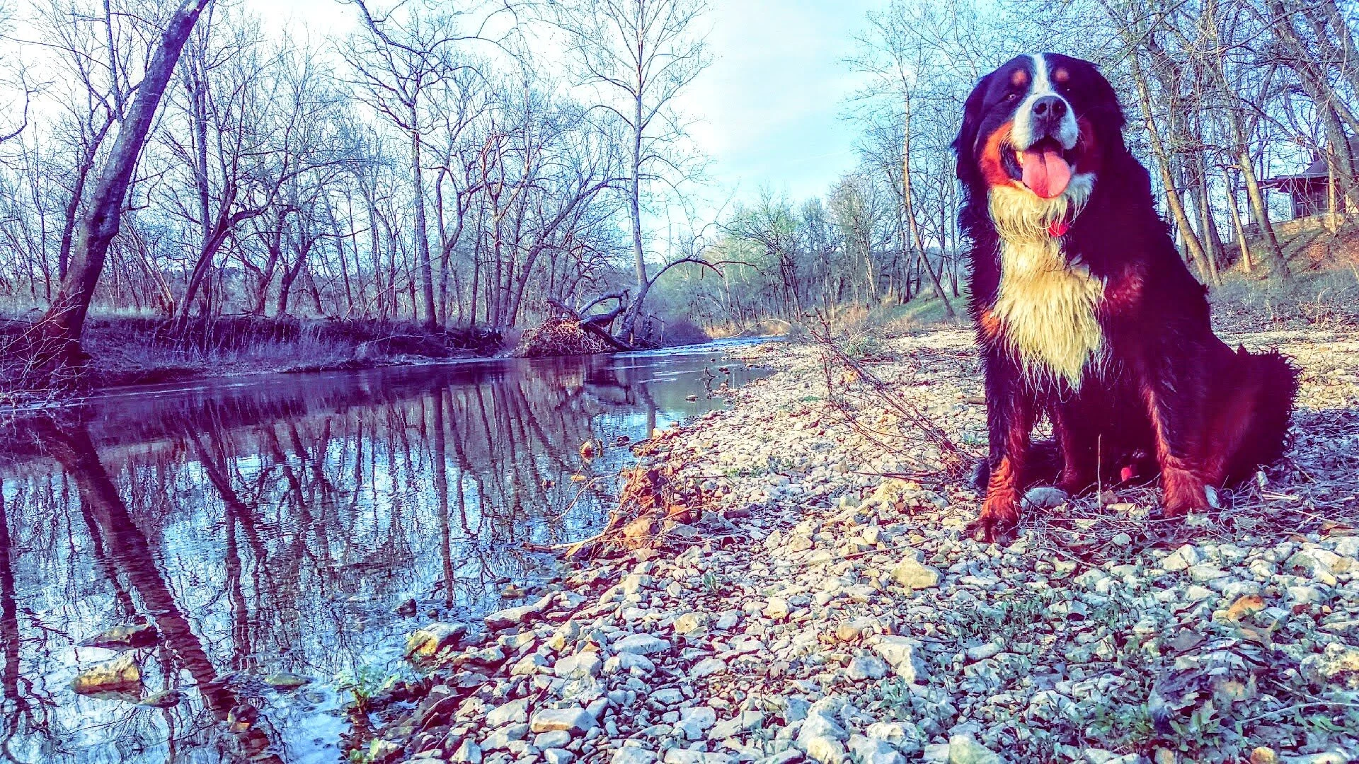 Snapchat-1228858921 (2).jpg