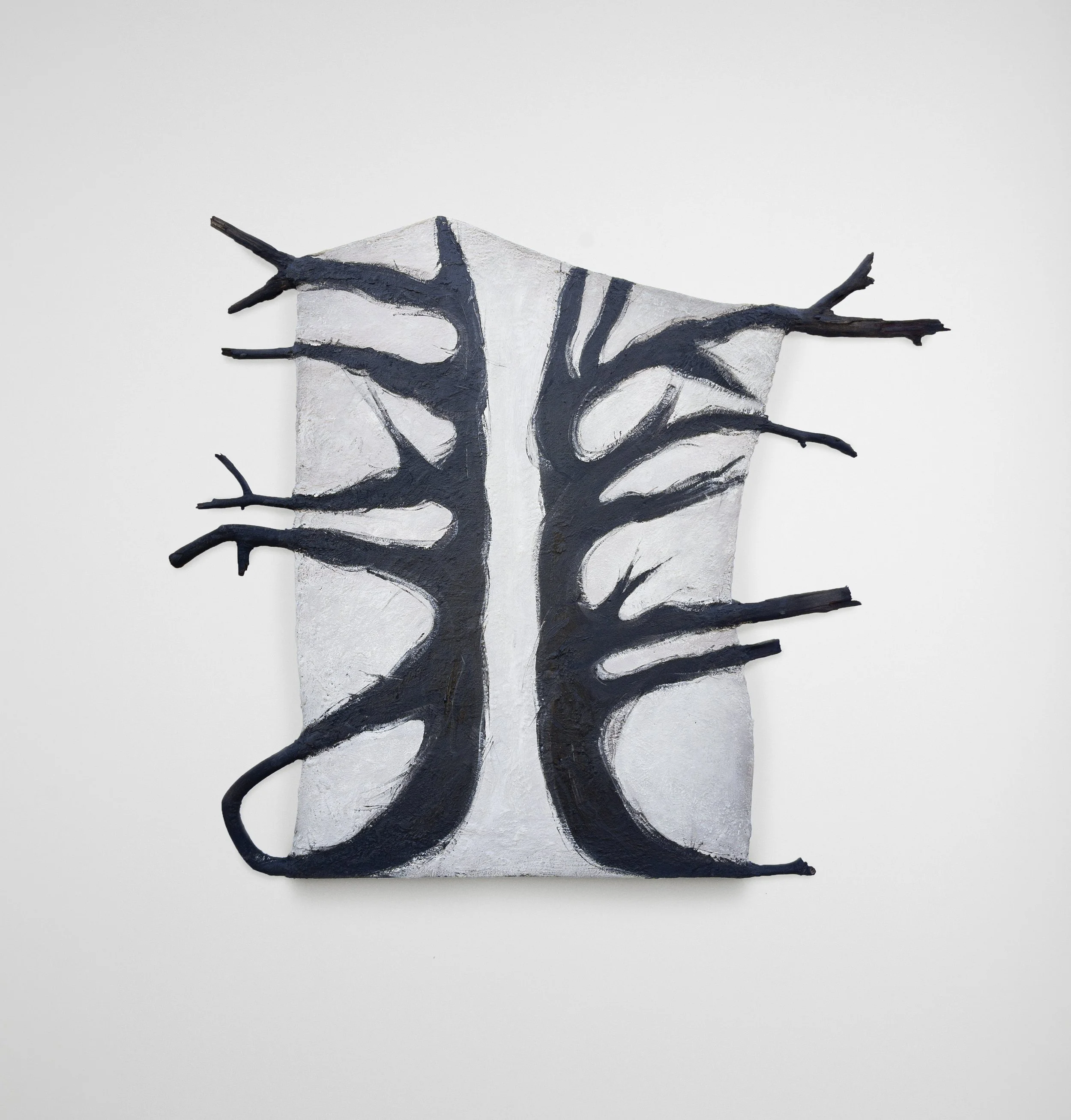 APC_3185 csfopy 3 copy.jpg