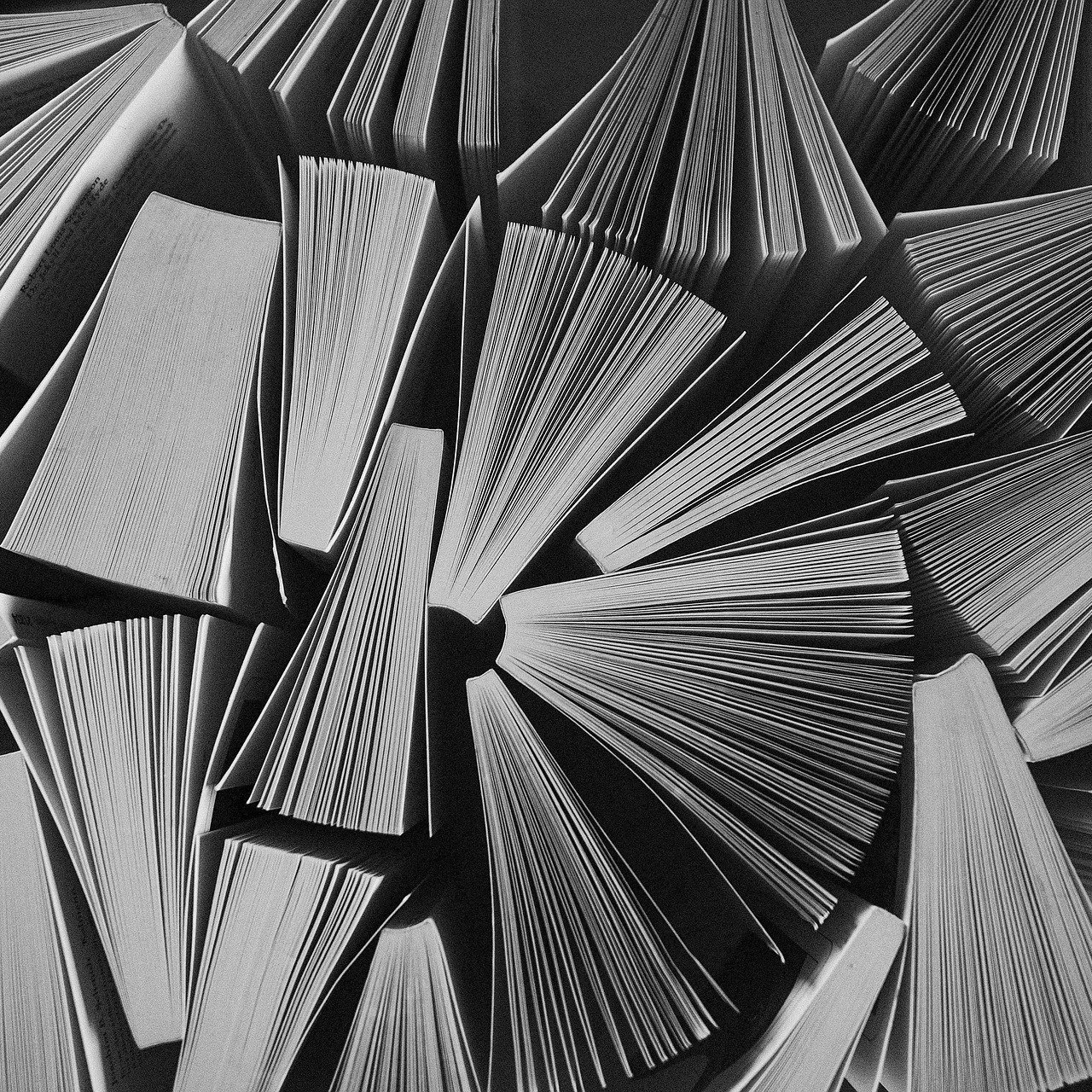 image Librarian.jpg