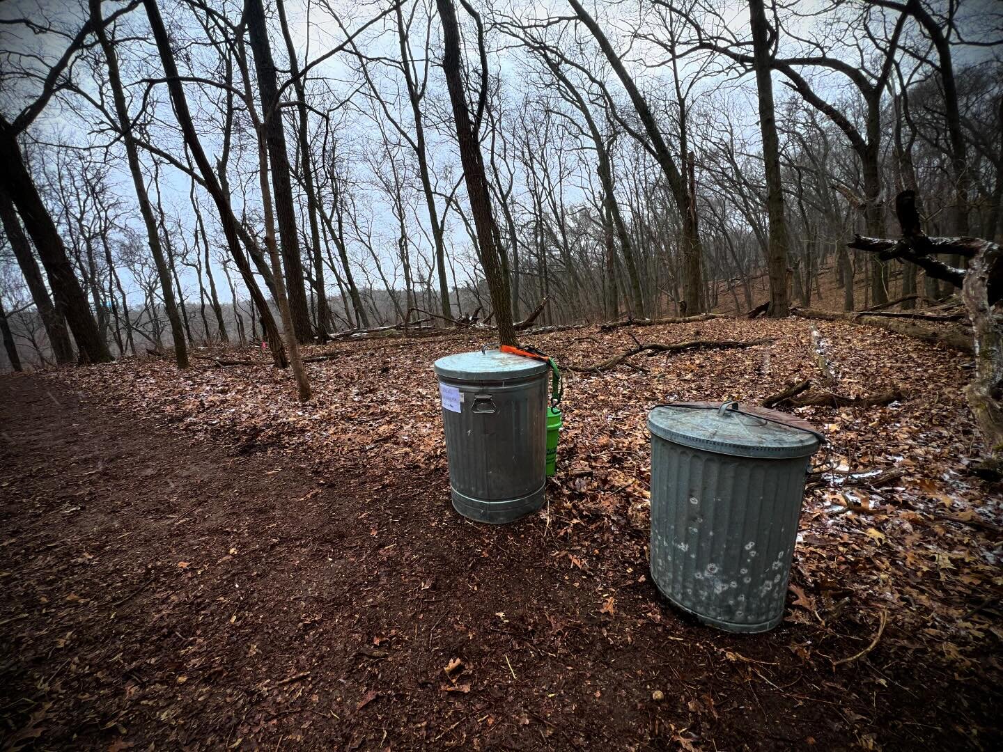 Seeding!!!! Last night we seeded the area formerly known as &ldquo;Honeysuckle Hill&rdquo; with a native woodland mix from @greatlakesnativeseed . Those two garbage cans are full of seed! Now we wait (like two years or more!!) for it to fill in. If y
