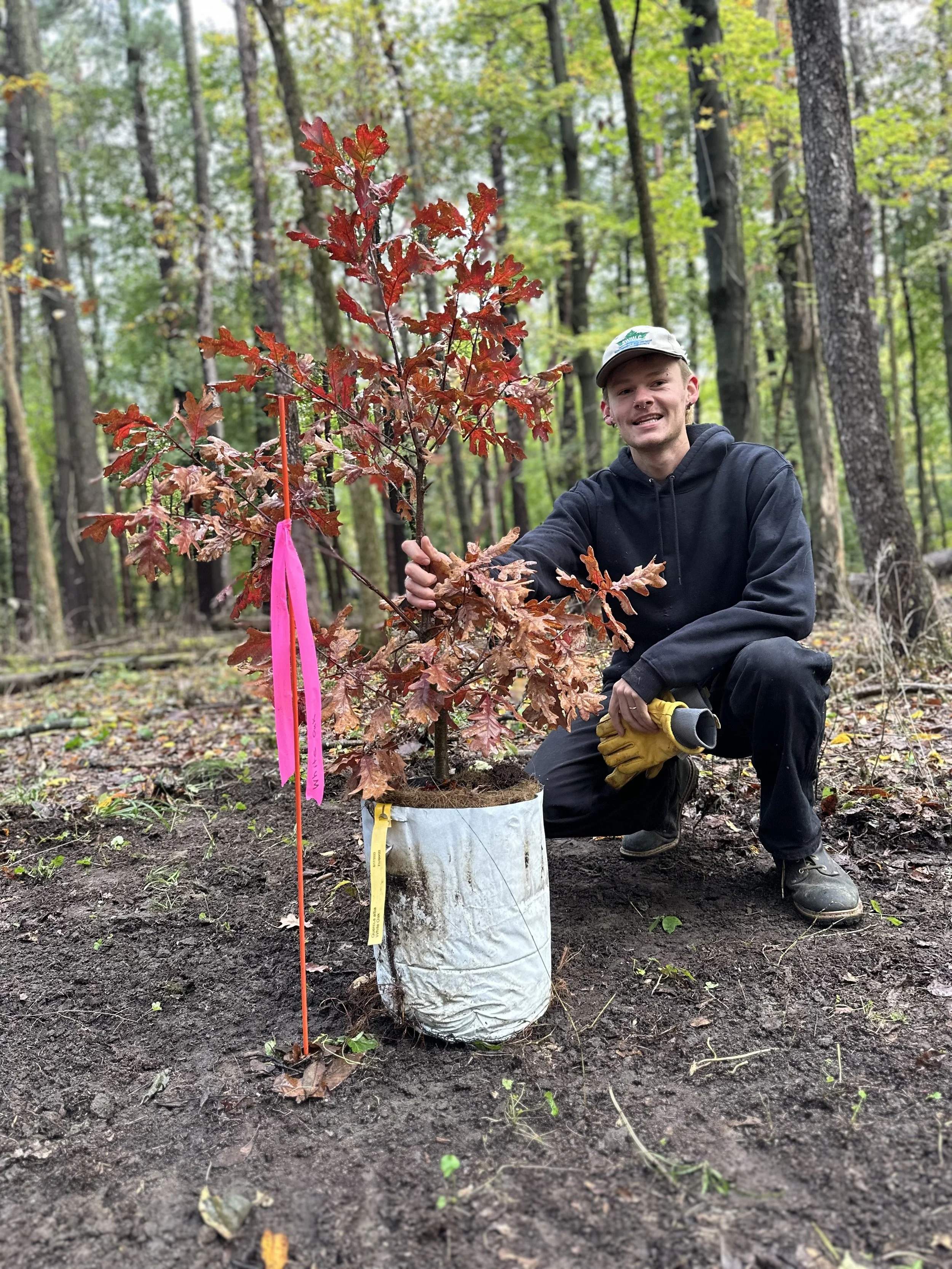Volunteer Workday