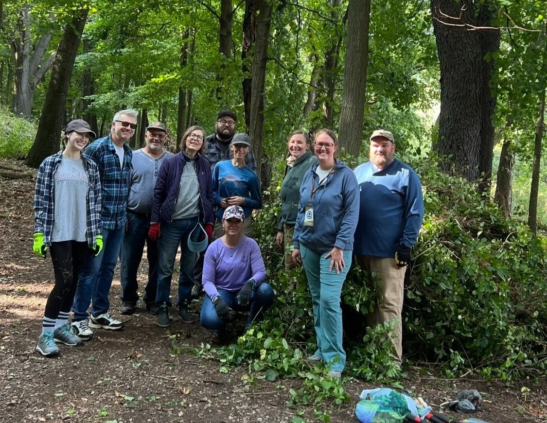 Volunteer Workday