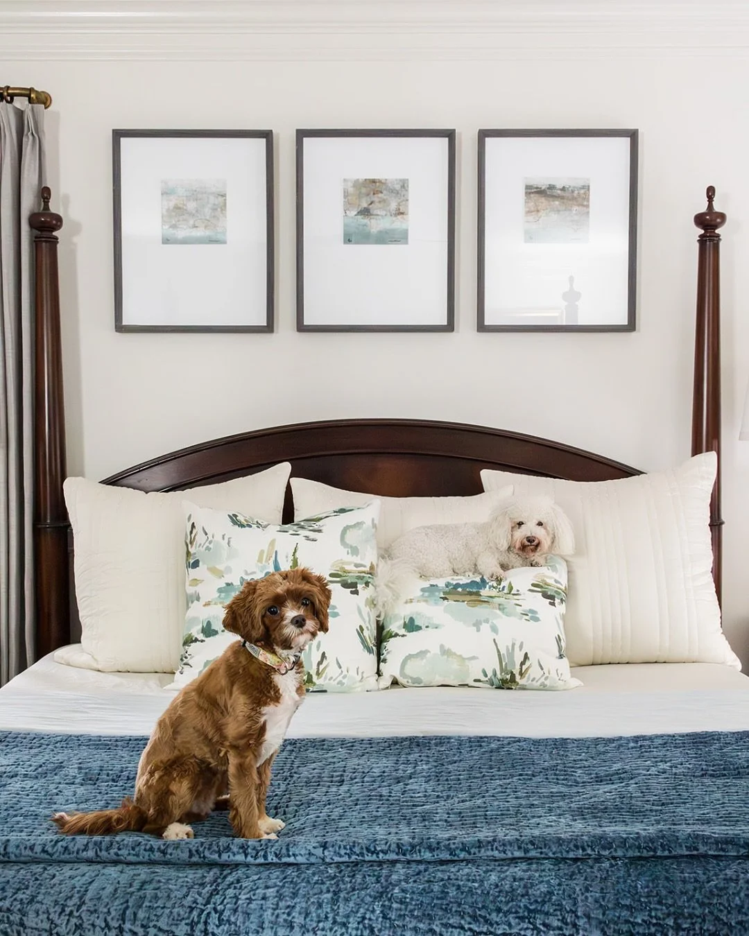 A Master Bedroom that is both designer and puppy approved!

#birminghaminteriordesigner #interiordesign #laurenmurphy #laurenmurphydesign #atlantaga #atlantainteriordesign #atlantainteriordesigner #masterbedroom #masterbedroomdesign

Birmingham, AL |