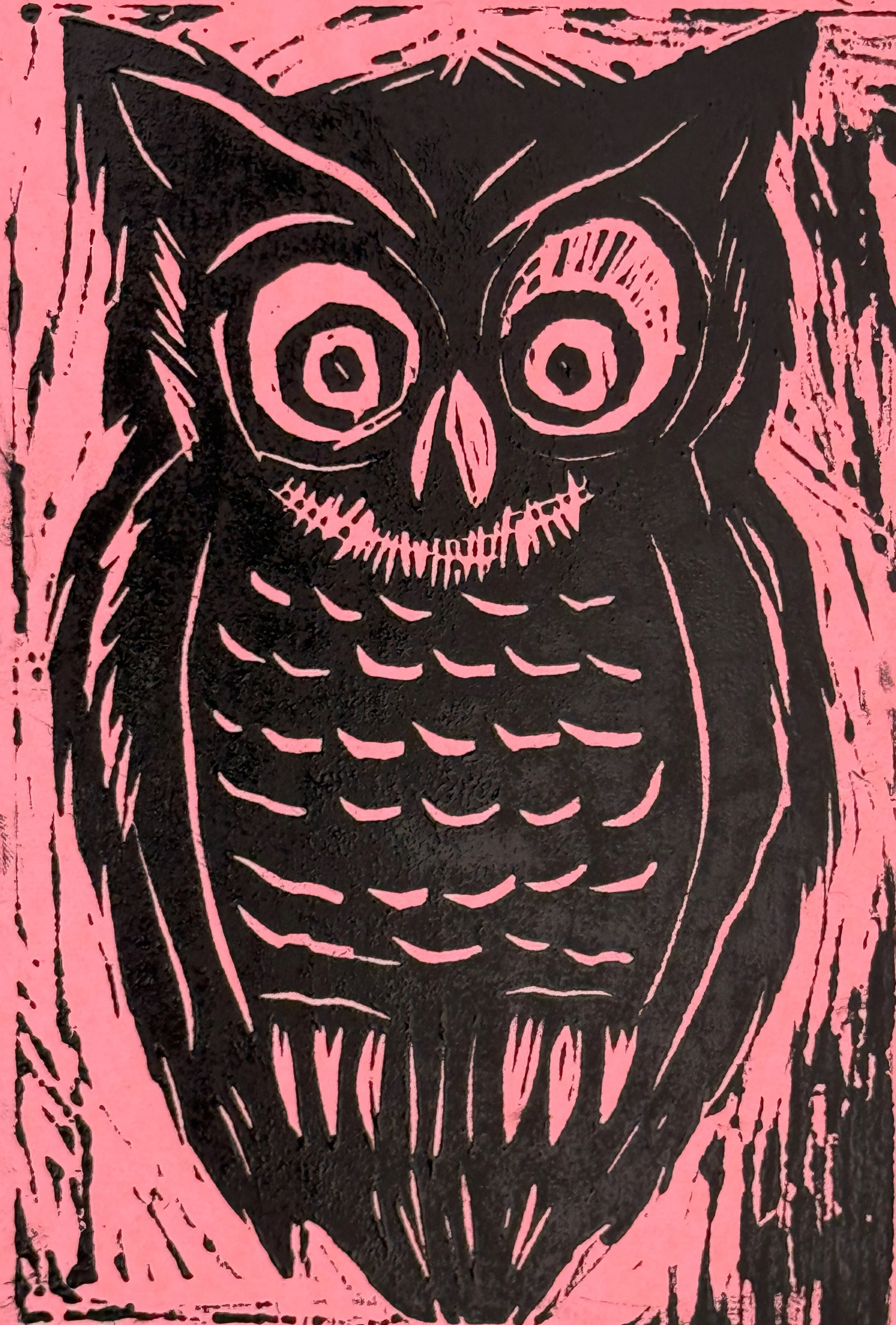 Owl