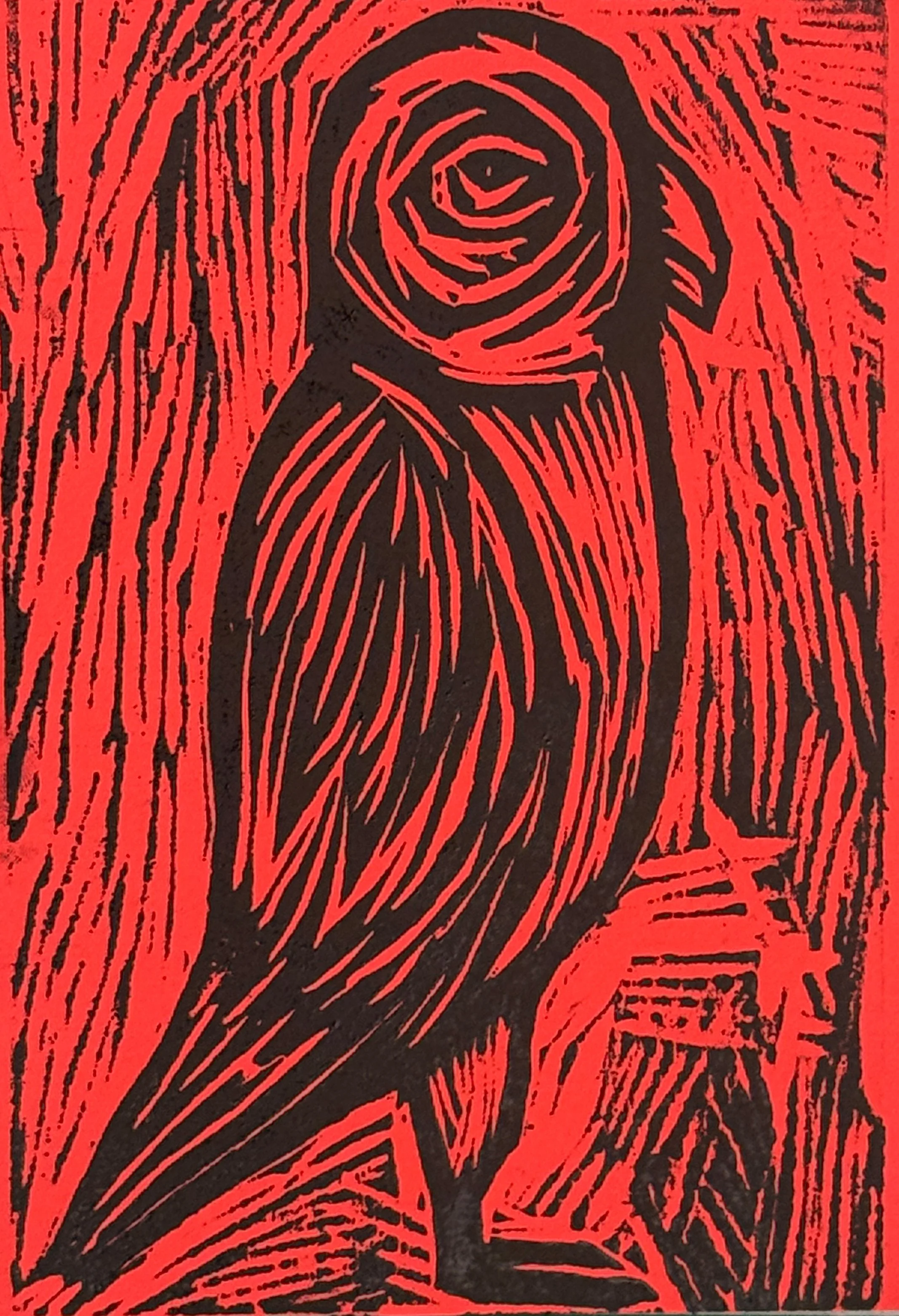 Parakeet