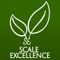 Scale Excellence