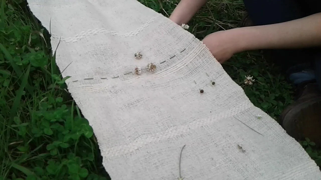 "A gift for my mother" 2018. Natural wool woven on a backstrap loom with flowers