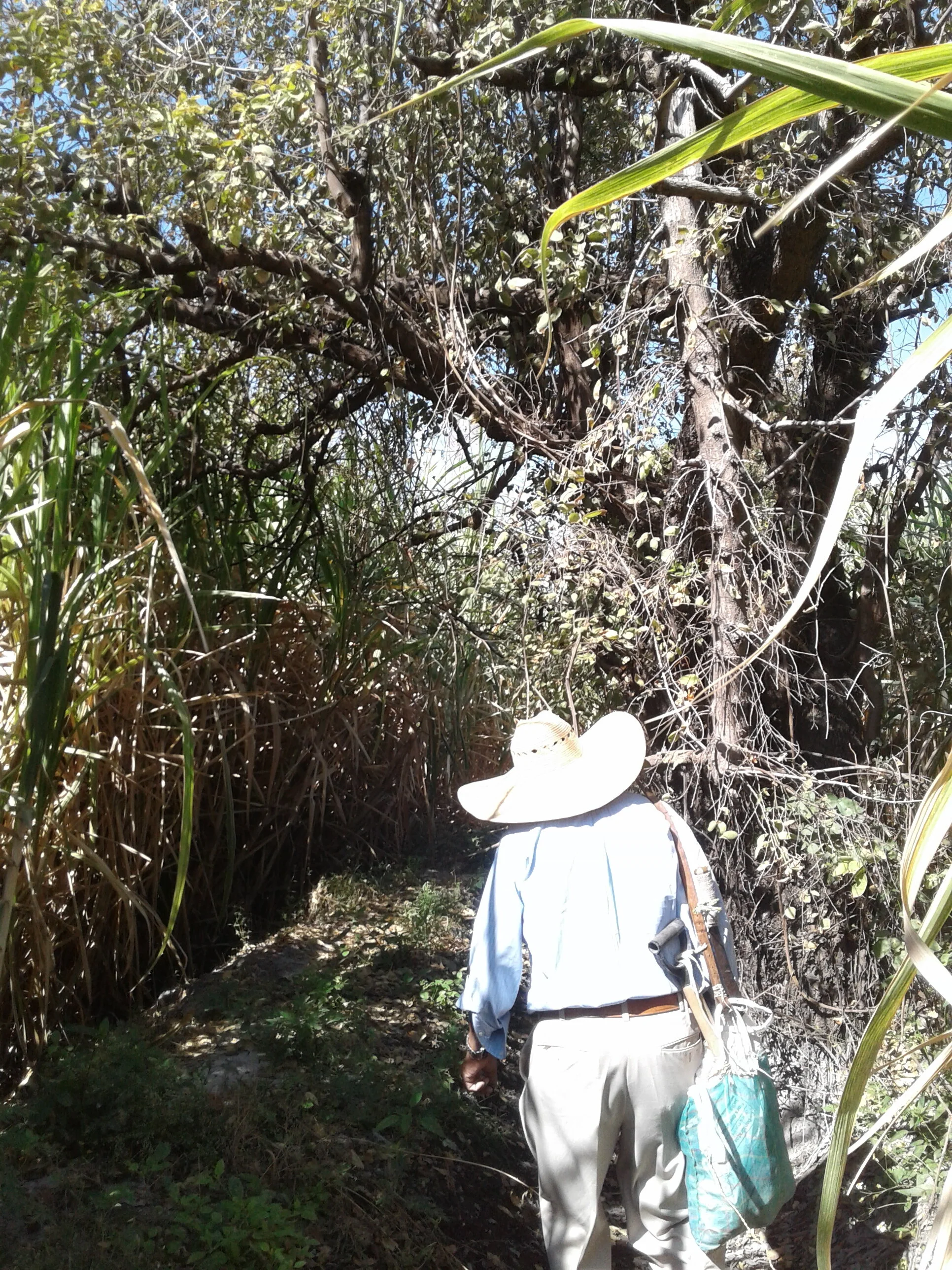 Nature Walk with my Tio #2