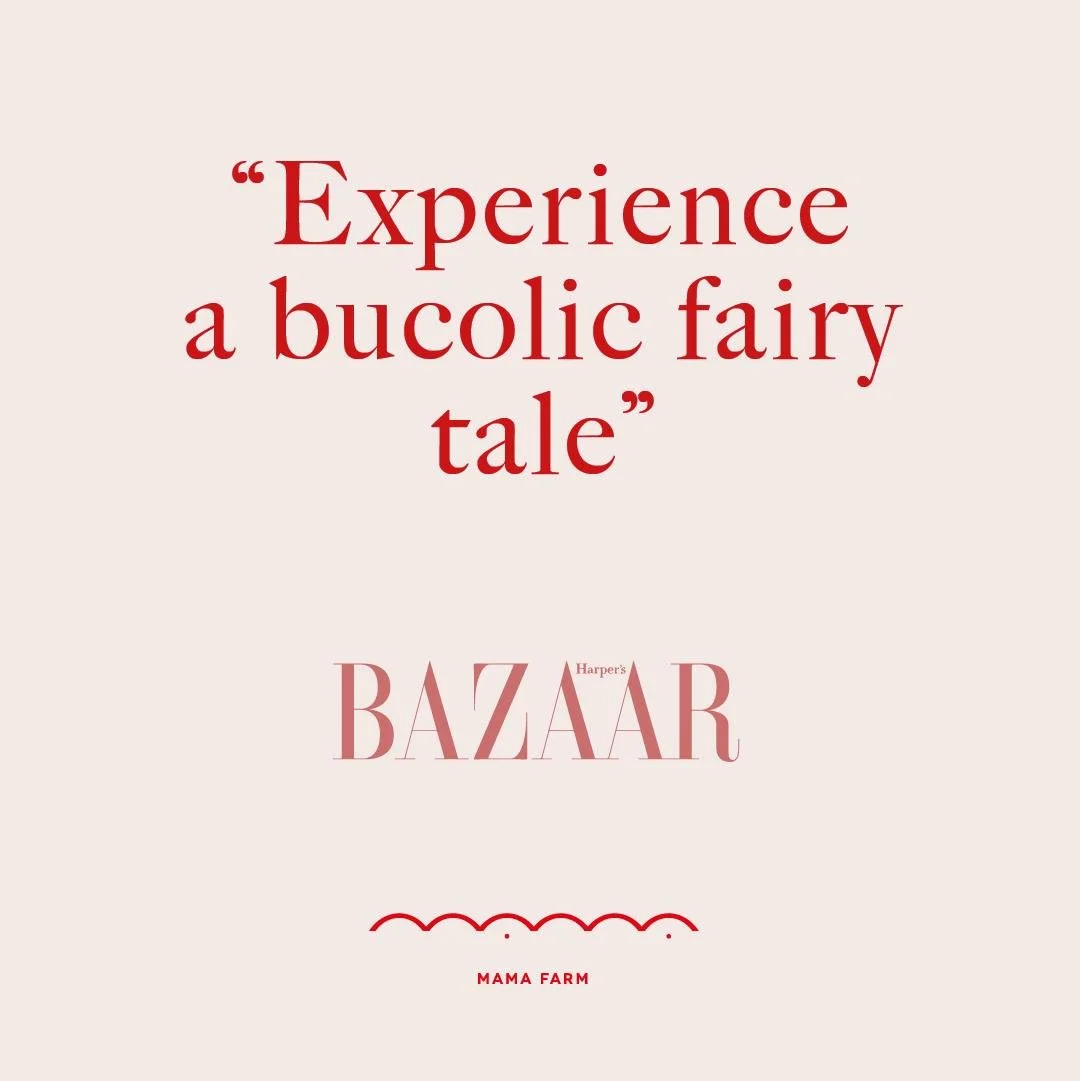 WhatsApp Image 2026-02-23 at 9.37.35 PM (1).jpeg