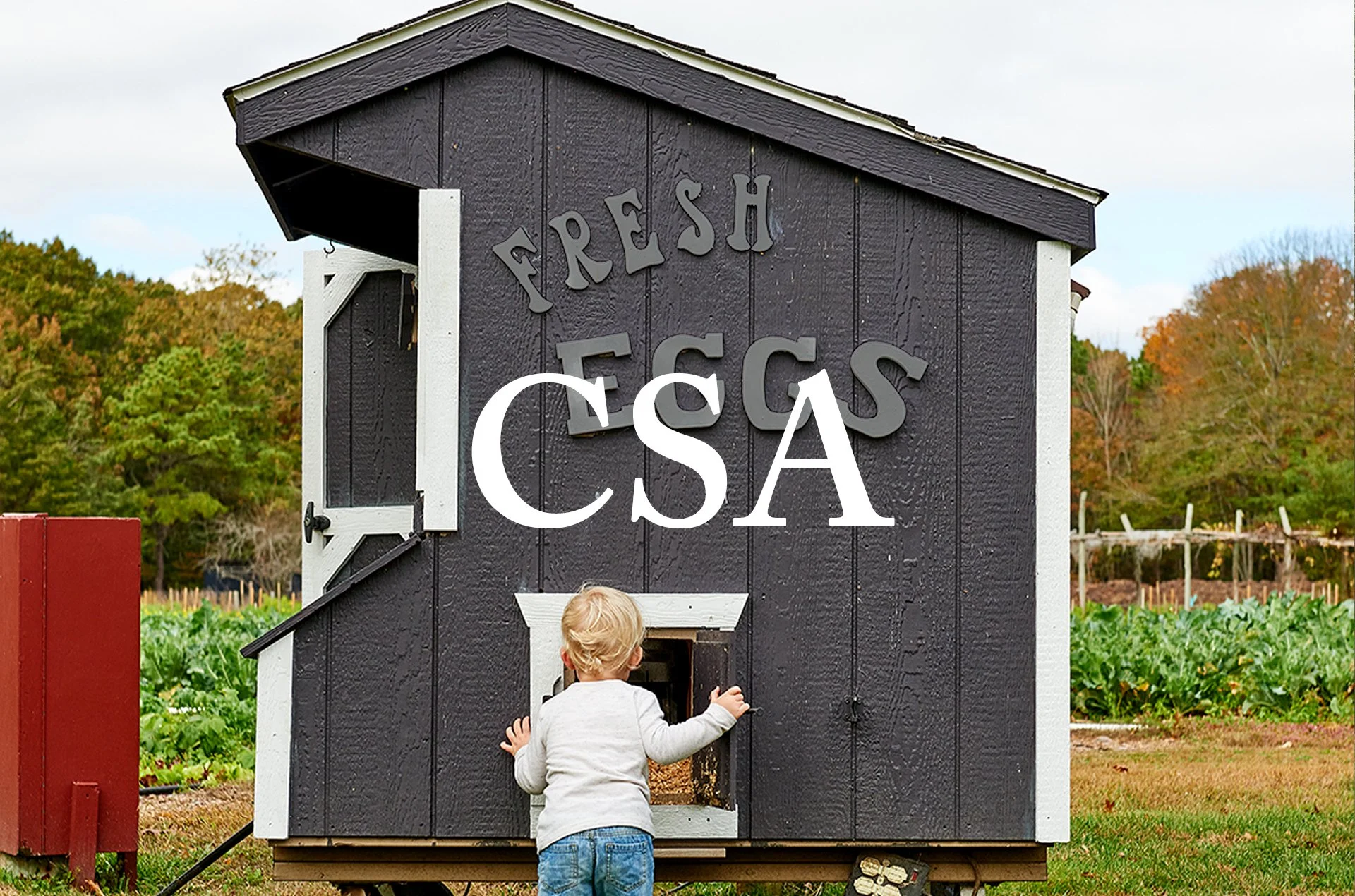 csa new site 2026 WITH TEXT ronin.jpg