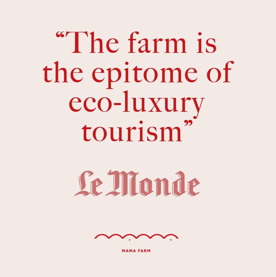 WhatsApp Image 2026-02-23 at 9.37.36 PM.jpeg