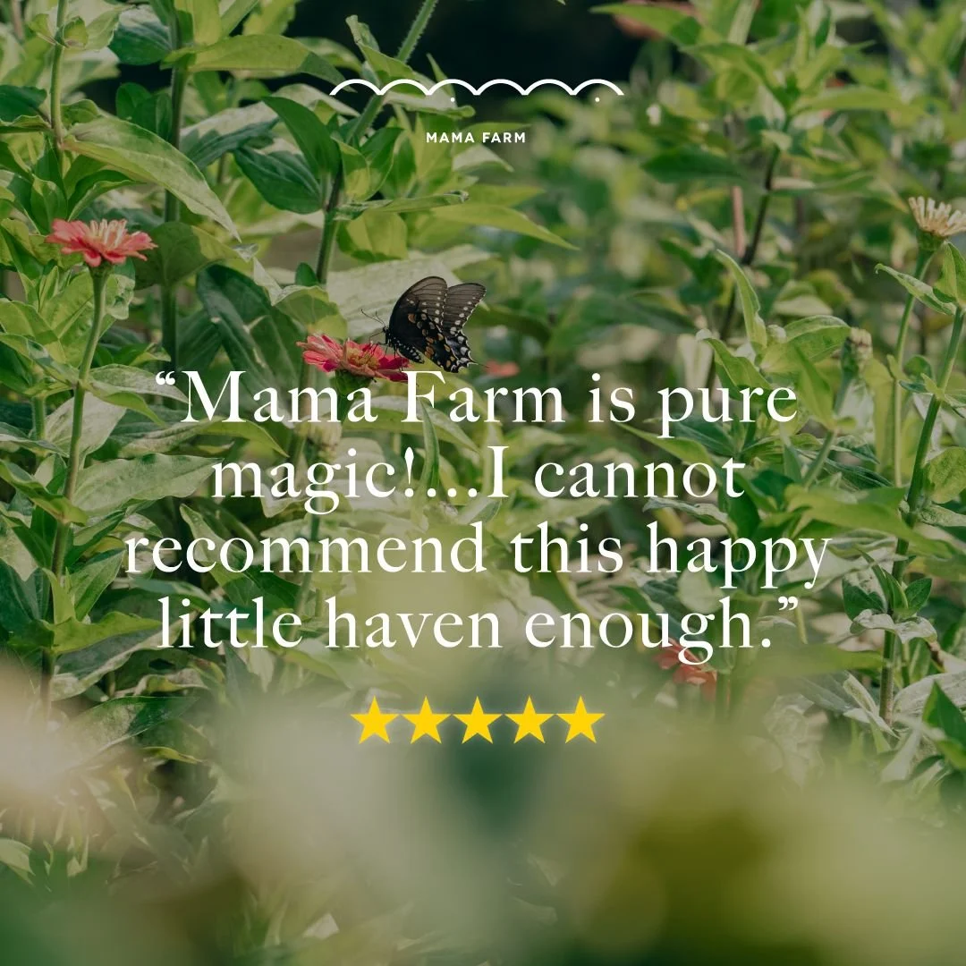 WhatsApp Image 2026-02-23 at 9.59.49 PM.jpeg