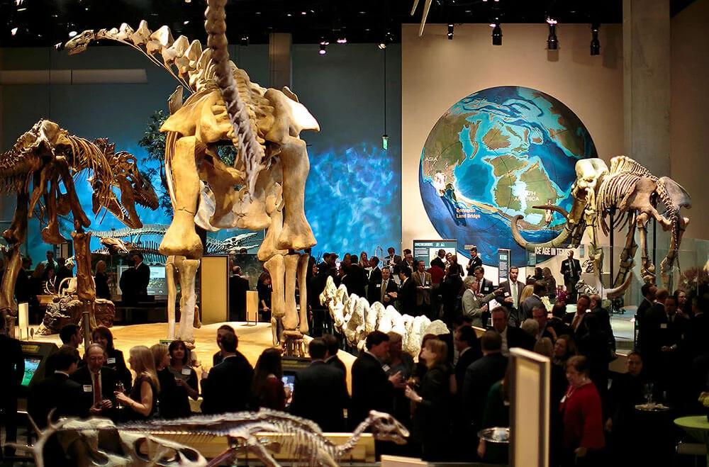 Dallas Corporate Event Photographer Perot Museum