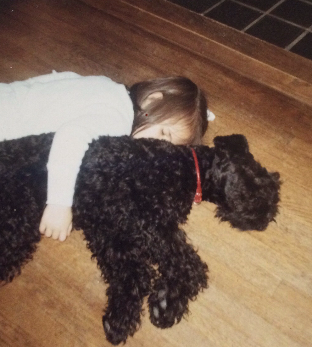 “Let Sleeping Dogs Lie”