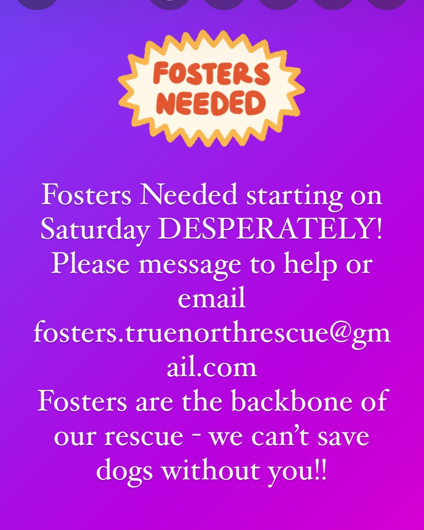 FOSTERS NEEDED ASAP

Please message us if you can help with a small or medium sized dog. 
Fostering typically lasts one to two weeks or less. Most of our dogs are adopted in 7 to 10 days. 
Once we get good photos and a biography, they go up right awa