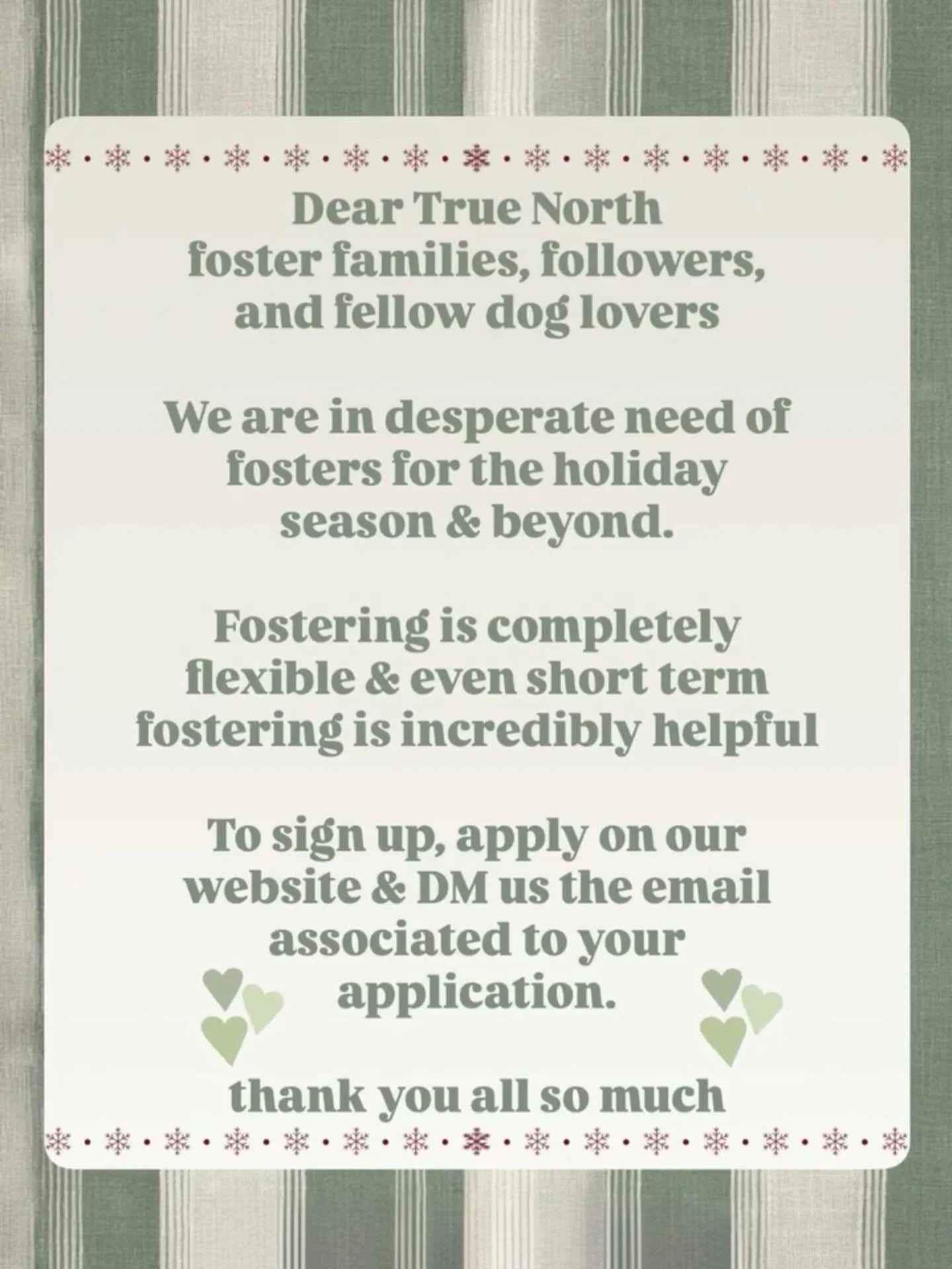 We couldn&rsquo;t do what we do here at True North Rescue without our incredible foster families, followers, and fellow dog lovers🐾🤍

During the holiday season we are especially short on foster availability and adoptive families🥺

Even a short amo