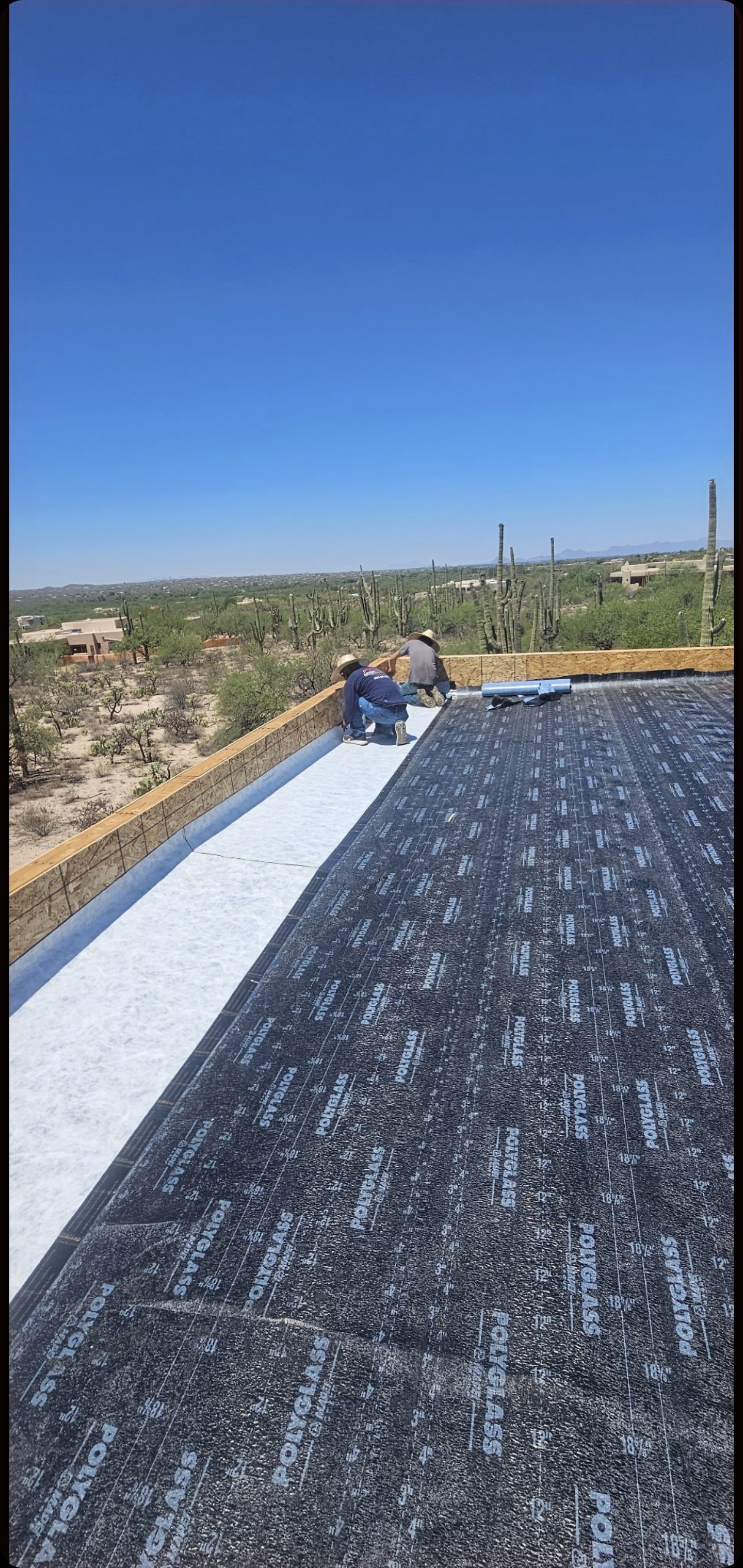 Screenshot_20260208-130610_Gallery (1).jpg