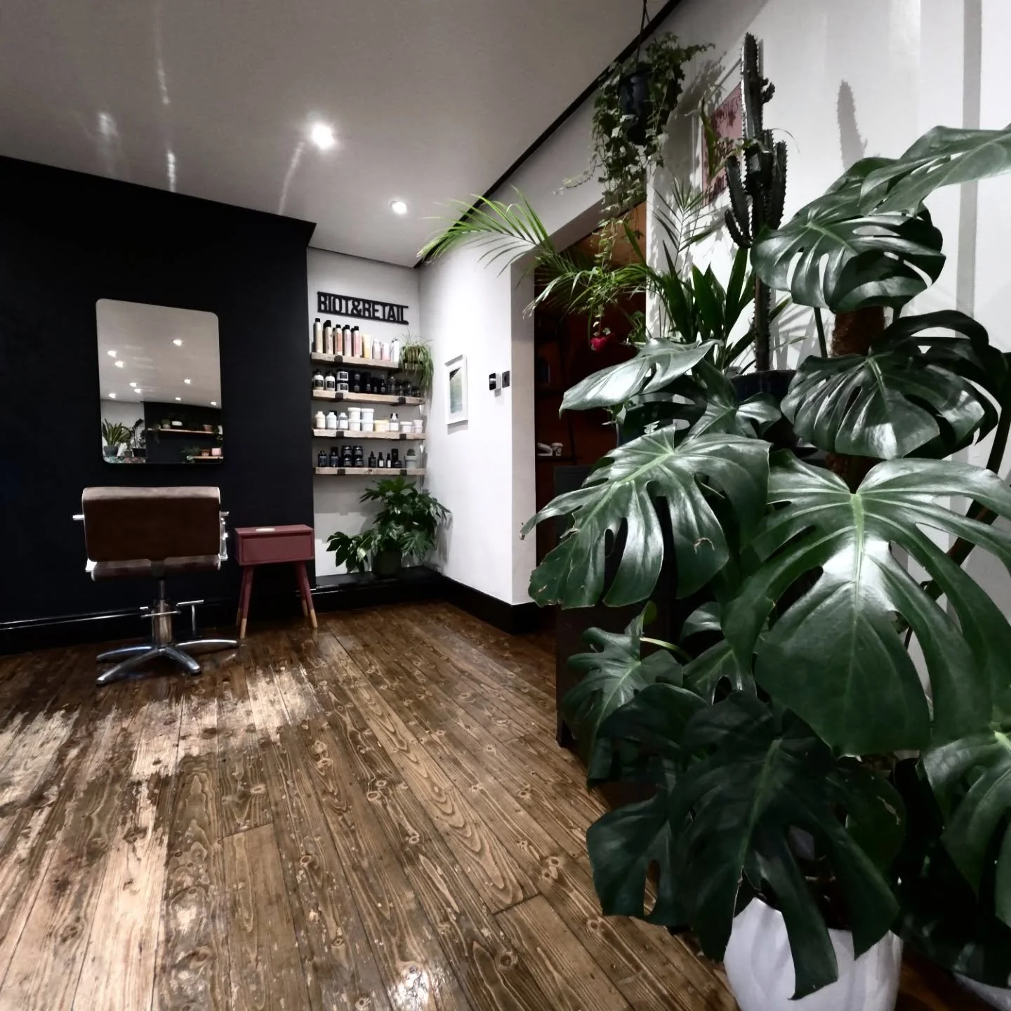 #monstera #plants #hairsalon #belfast #lisburnroad