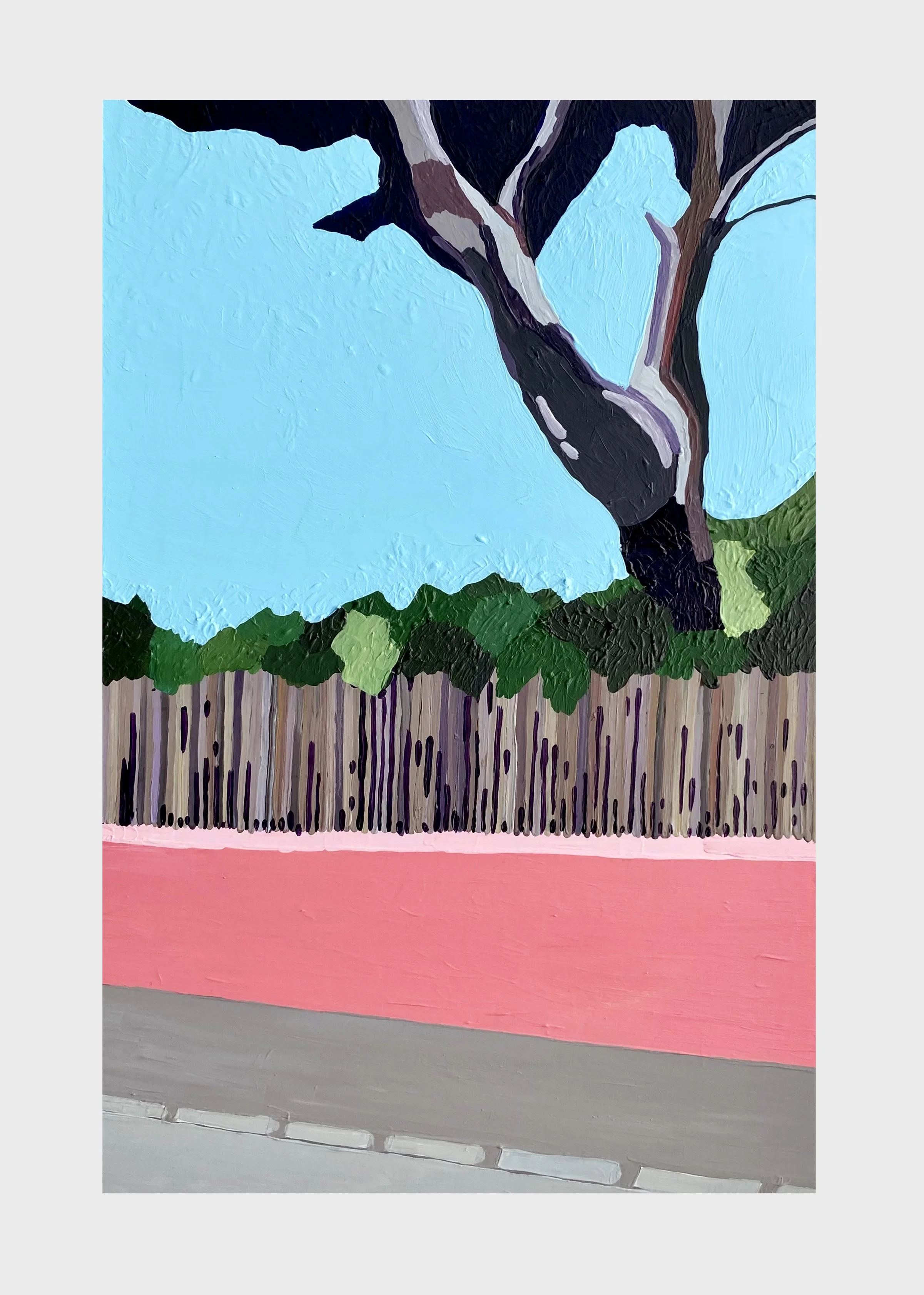 Pin parasol,  2024 Acrylique sous plexiglass _ dimensions : 50 × 30 cm