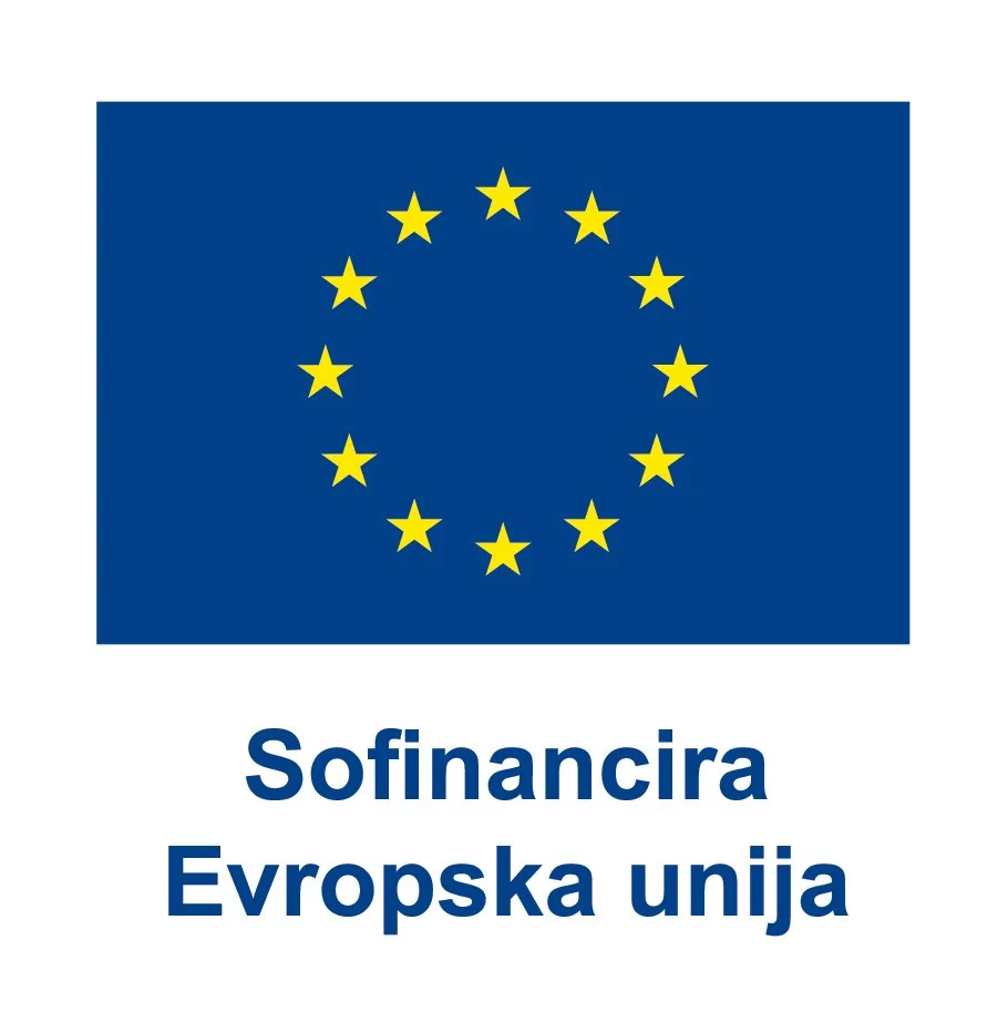SL V Sofinancira Evropska unija_POS.jpg