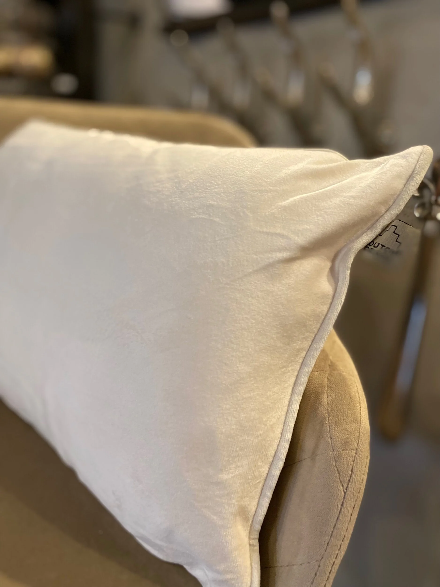 48EDE0A3-9DCC-4DAA-A2E8-F1389D2AD9A8