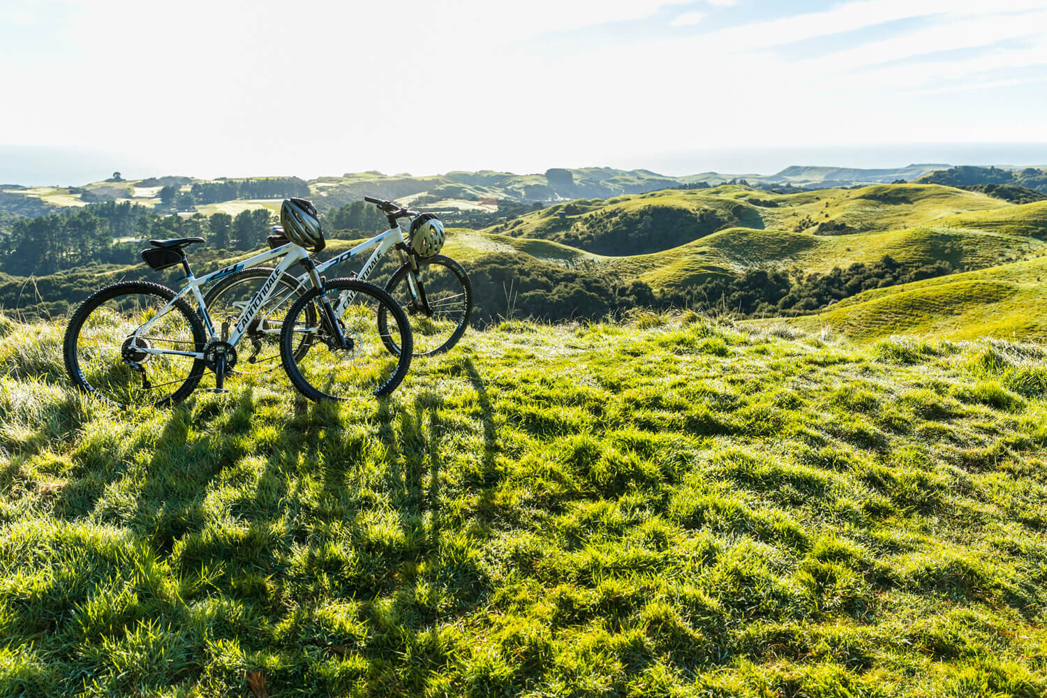  The Farm at Cape Kidnappers 